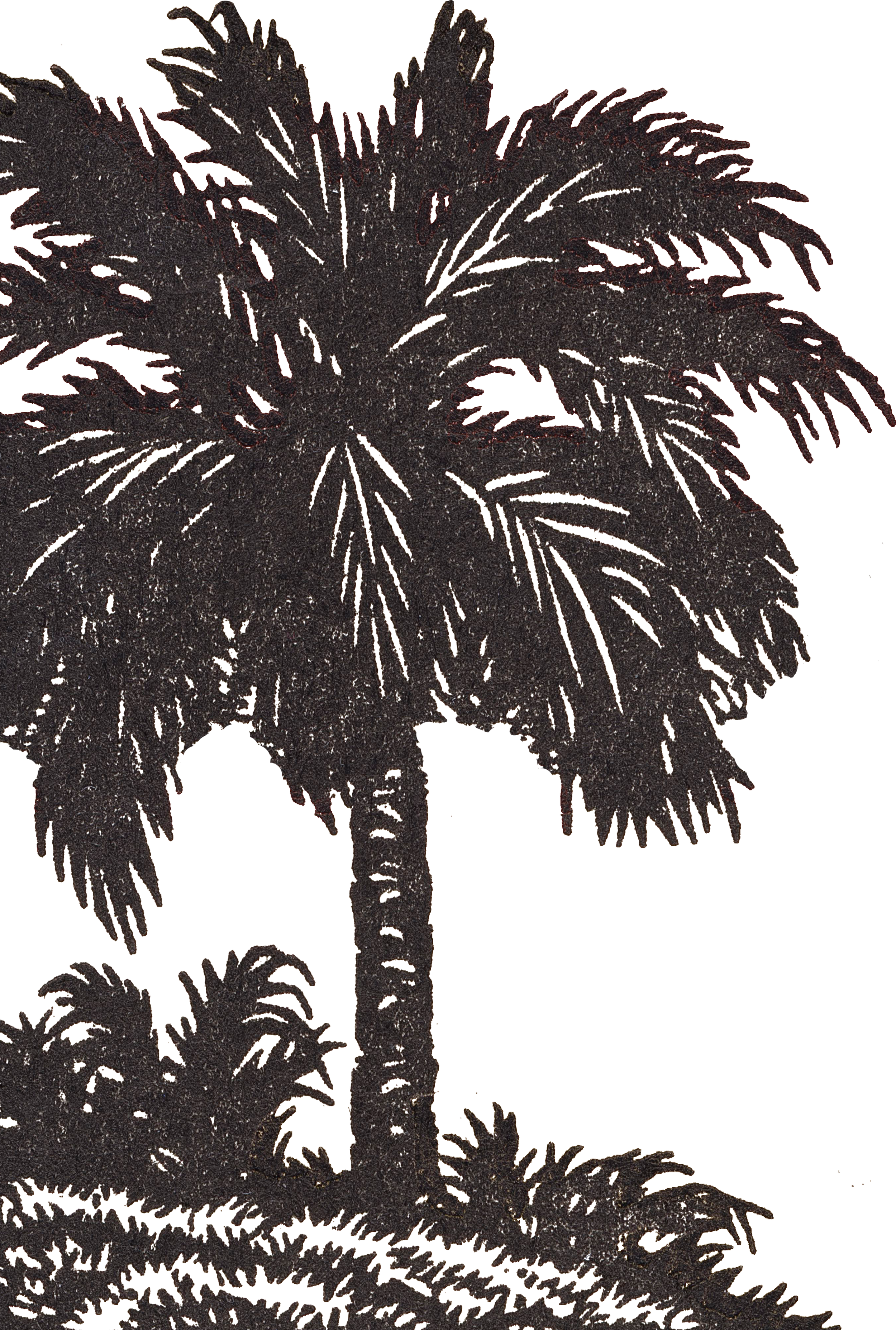 corner palm tree.png