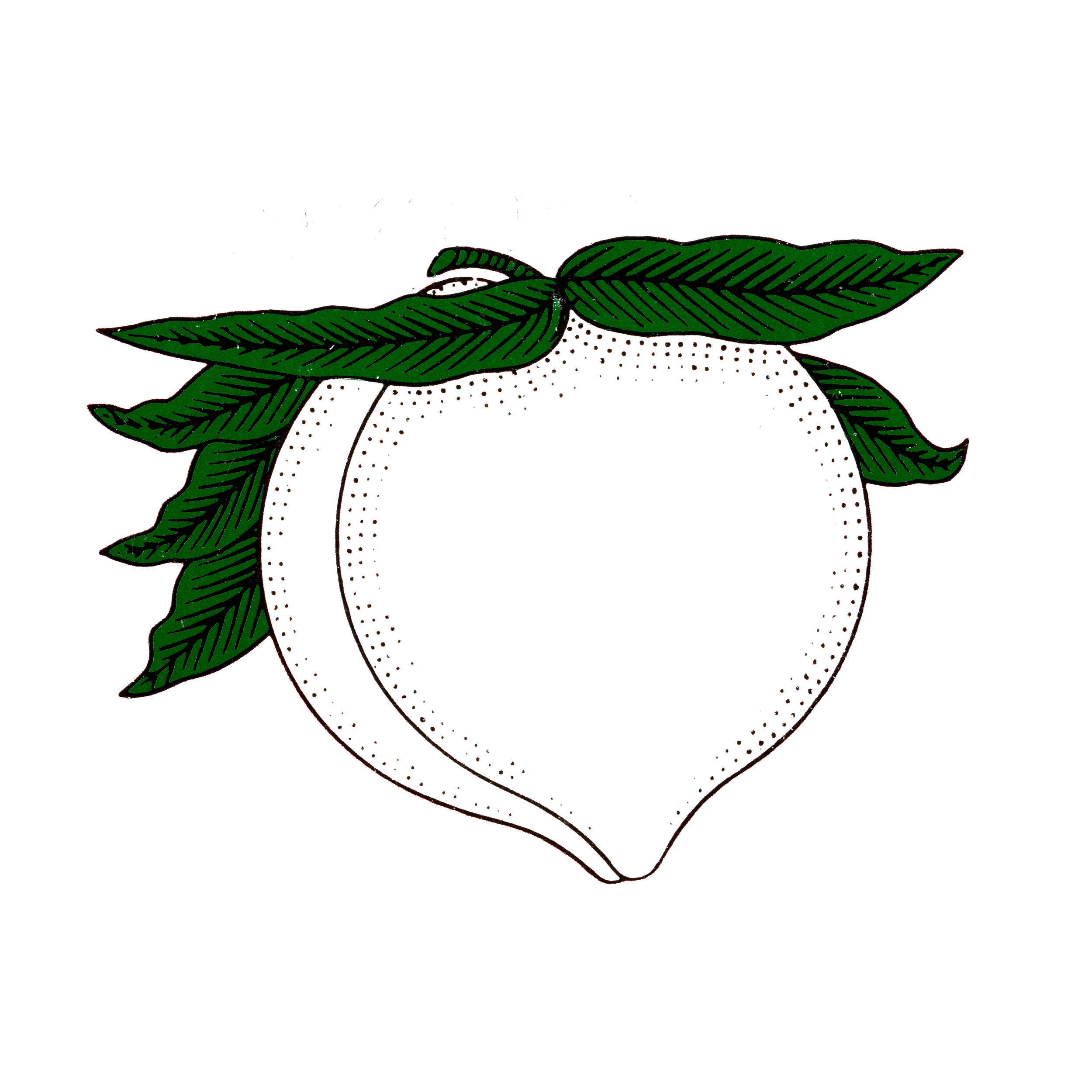 peach.png