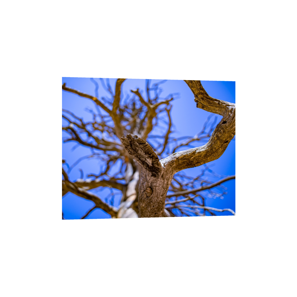 ptq_1_6_1000_0_5000_4000_0_false_ffffff_0_0_.png