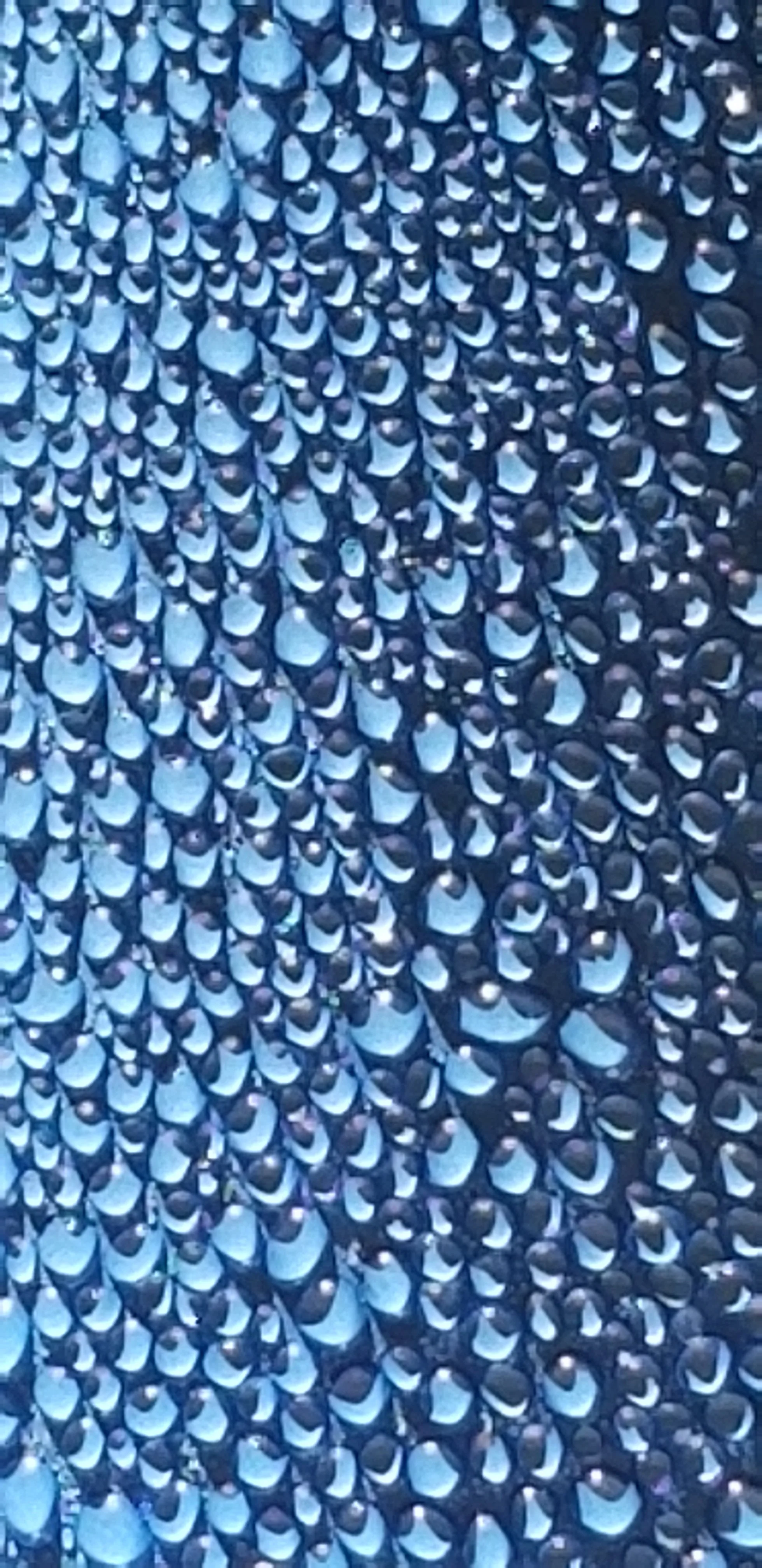 Blue Can 1.jpg