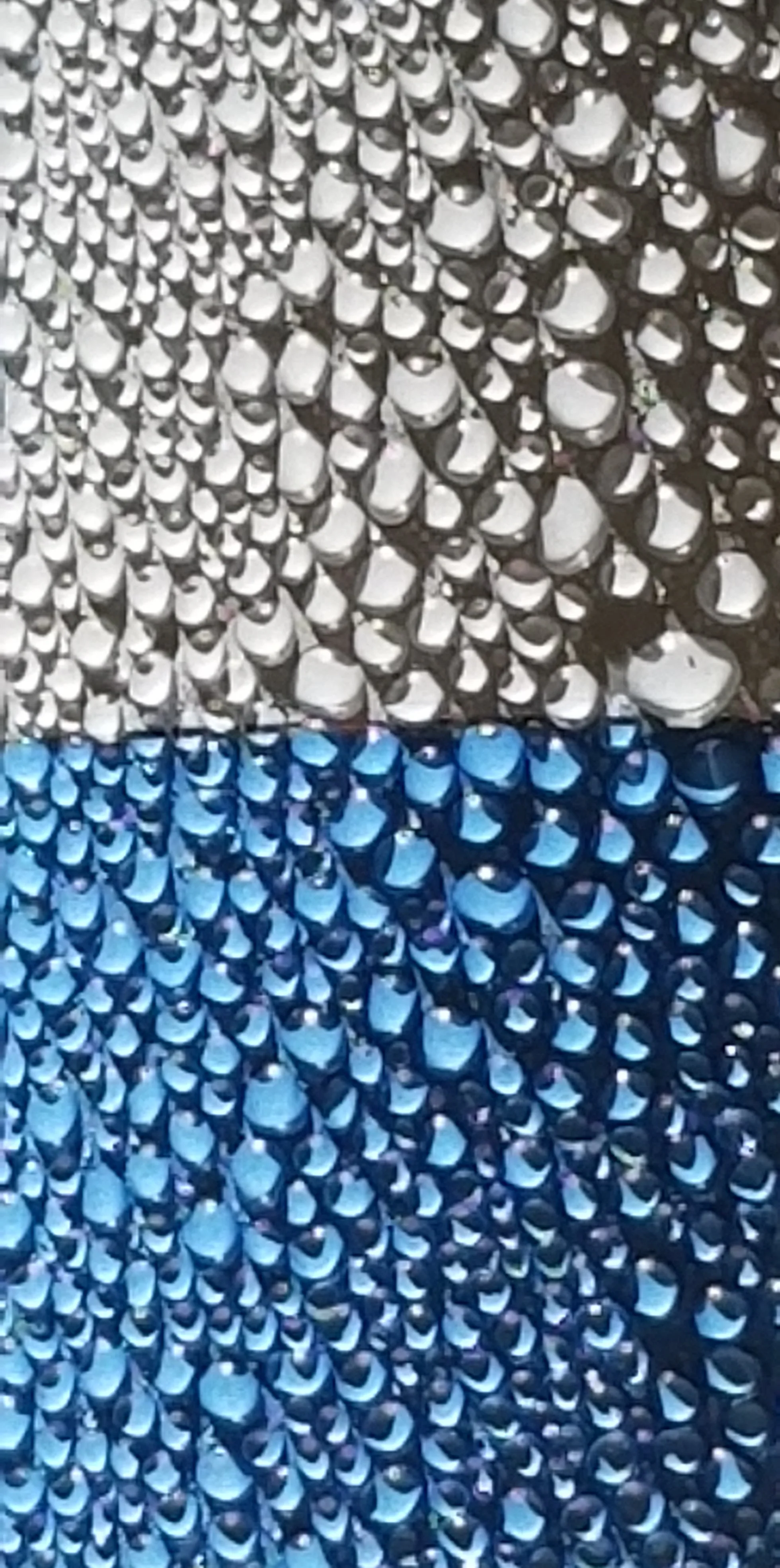 Blue Can 2.jpg
