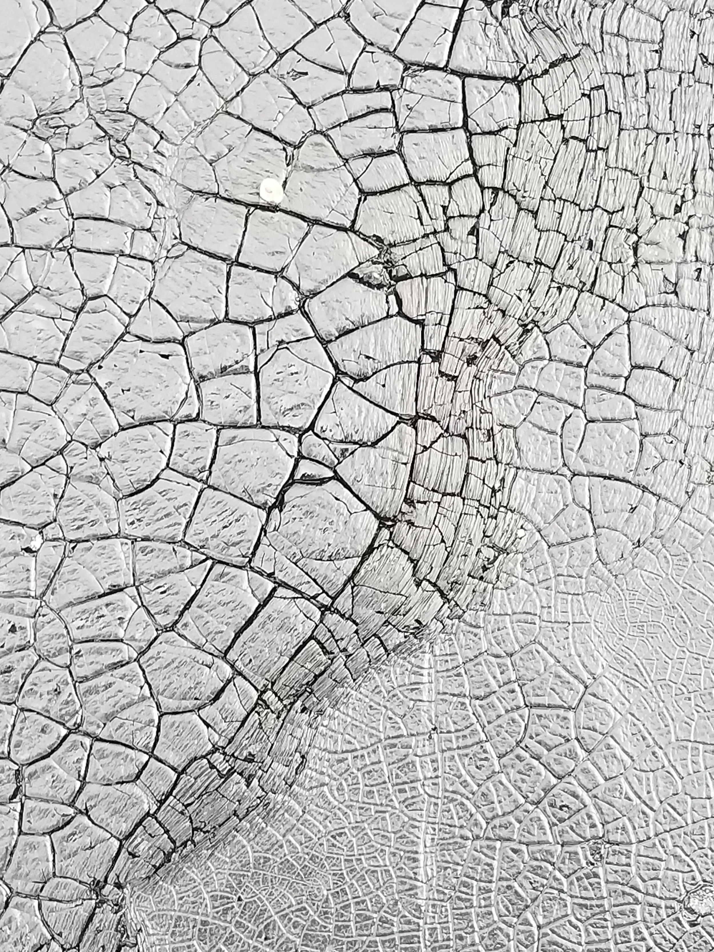 Roof Membrane 1.jpg