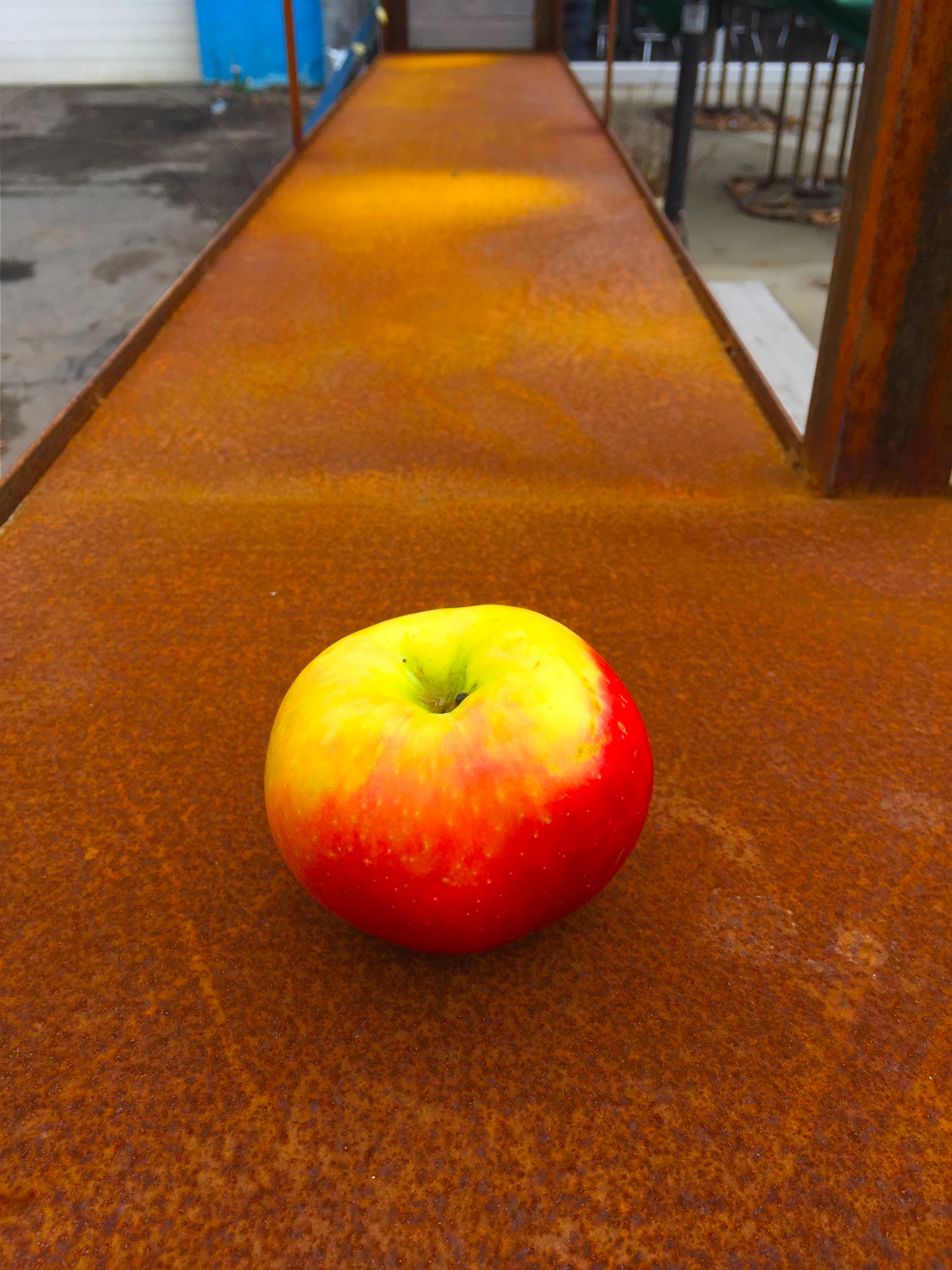 Family Wash Apple.png