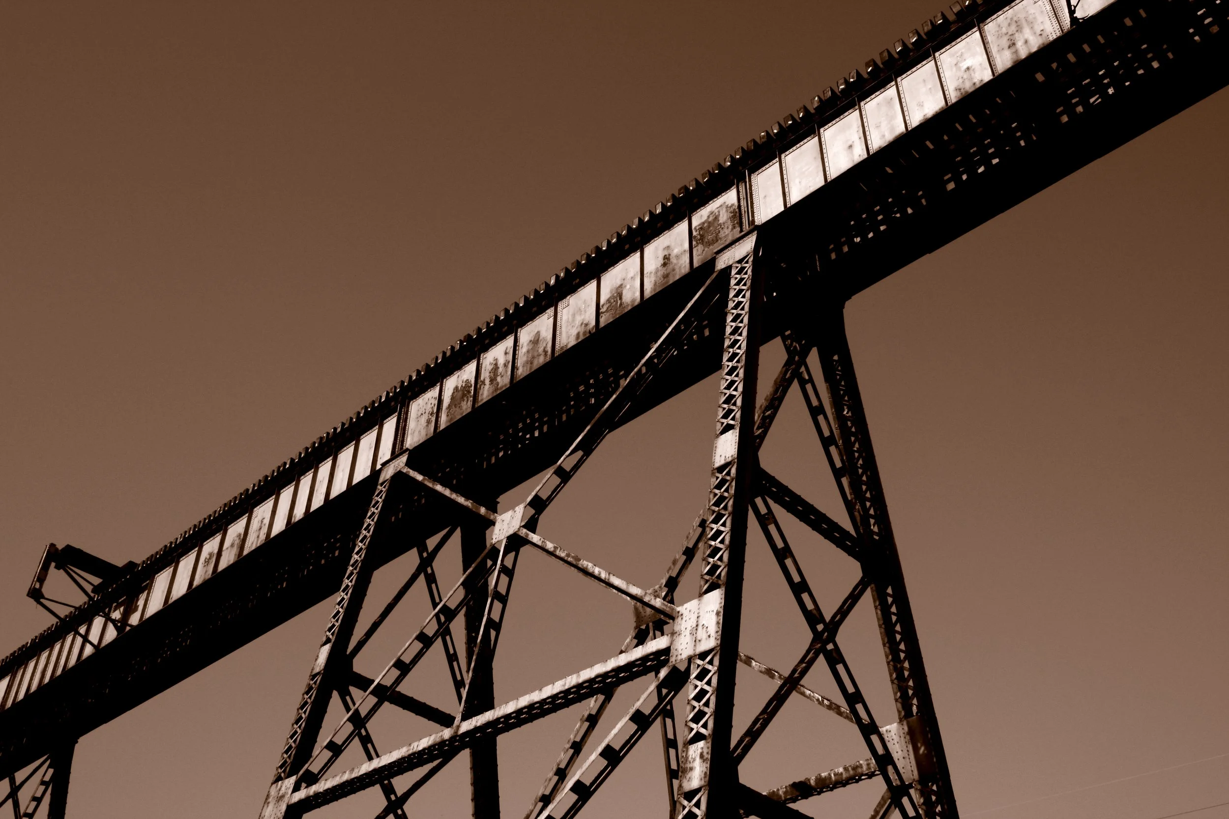 Shelby Bottoms Bridge copy.jpg