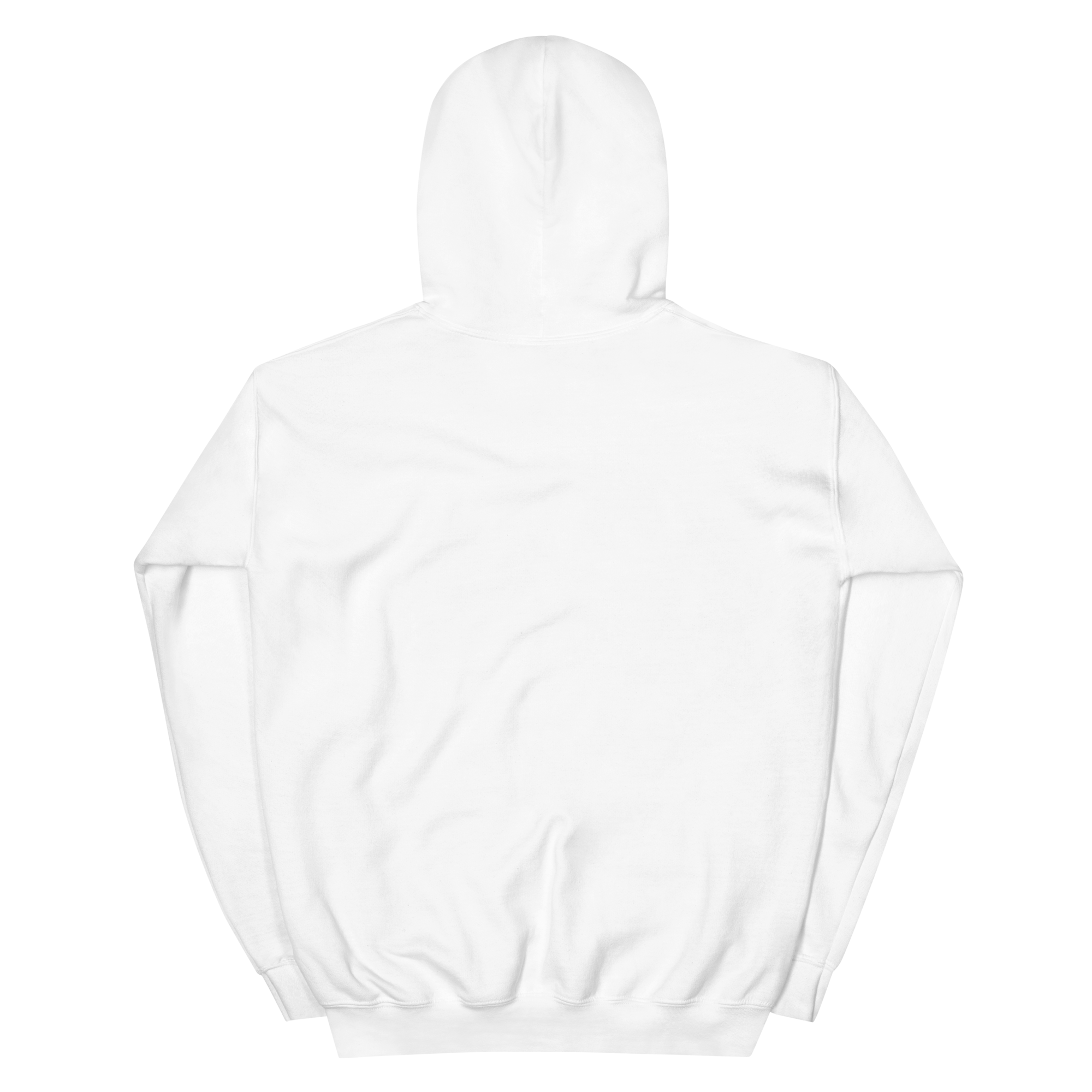 unisex-heavy-blend-hoodie-white-back-679f53742802c.png