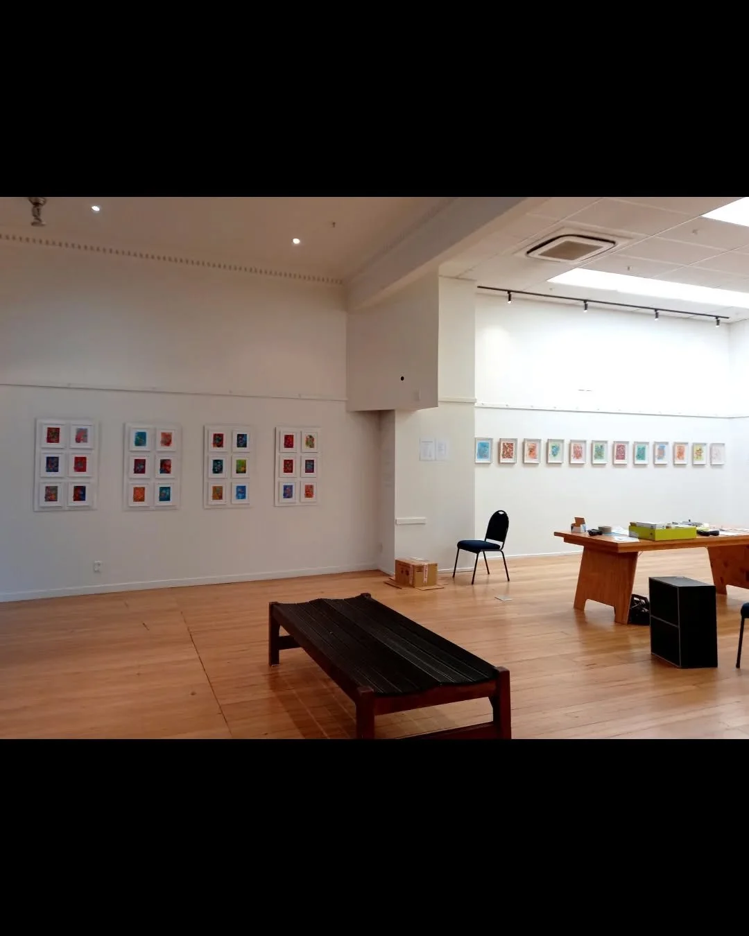 Thanks everyone for coming to the WILDFLOWERS opening at the Dunedin Community Gallery last Friday and show over the weekend! It was my first exhibition outside of a cafe an one il surely rememeber.
Thank you if you picked up a work or even if you ju