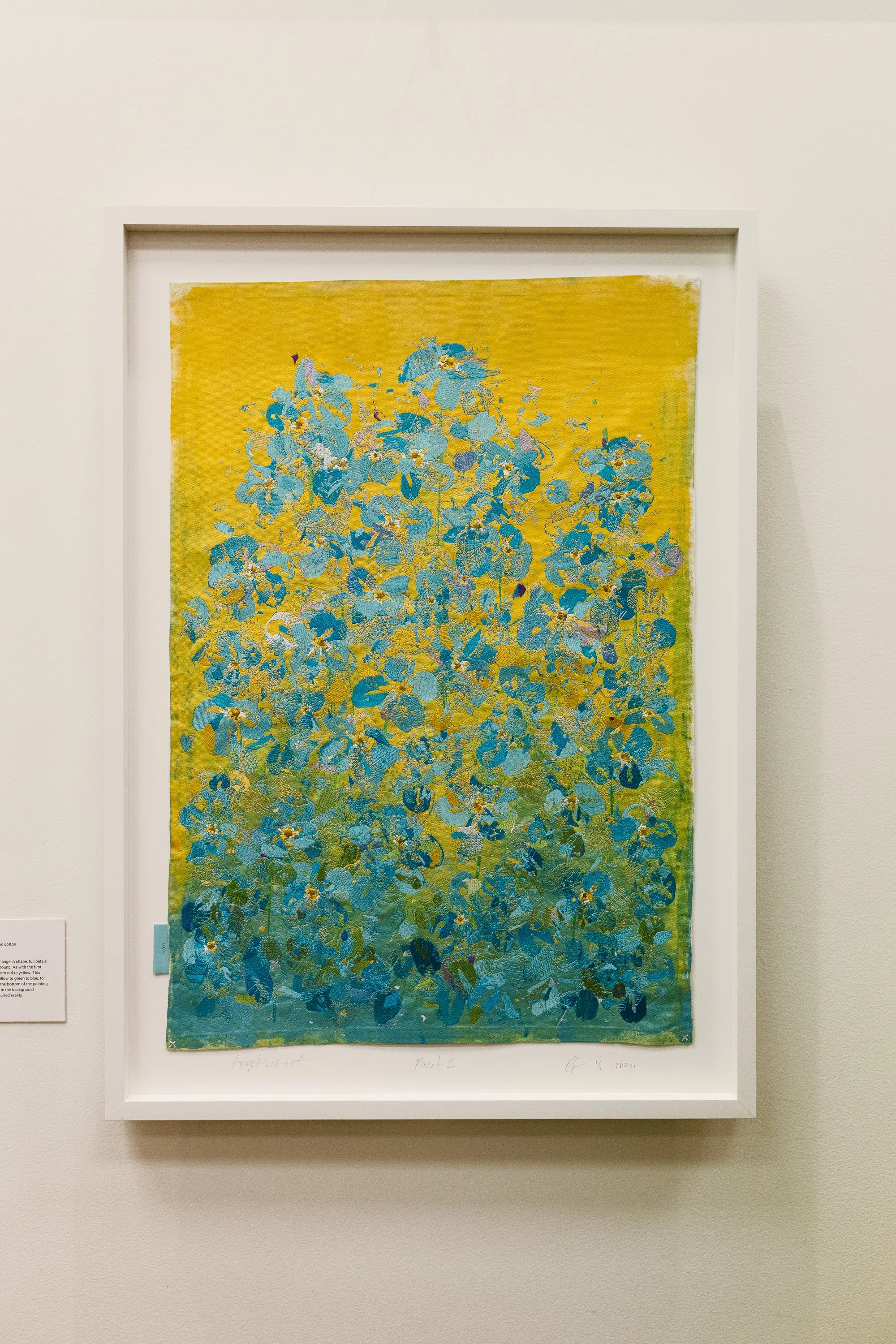 20260911 Reflections - Forget me not. uou 0D1A1766.jpg
