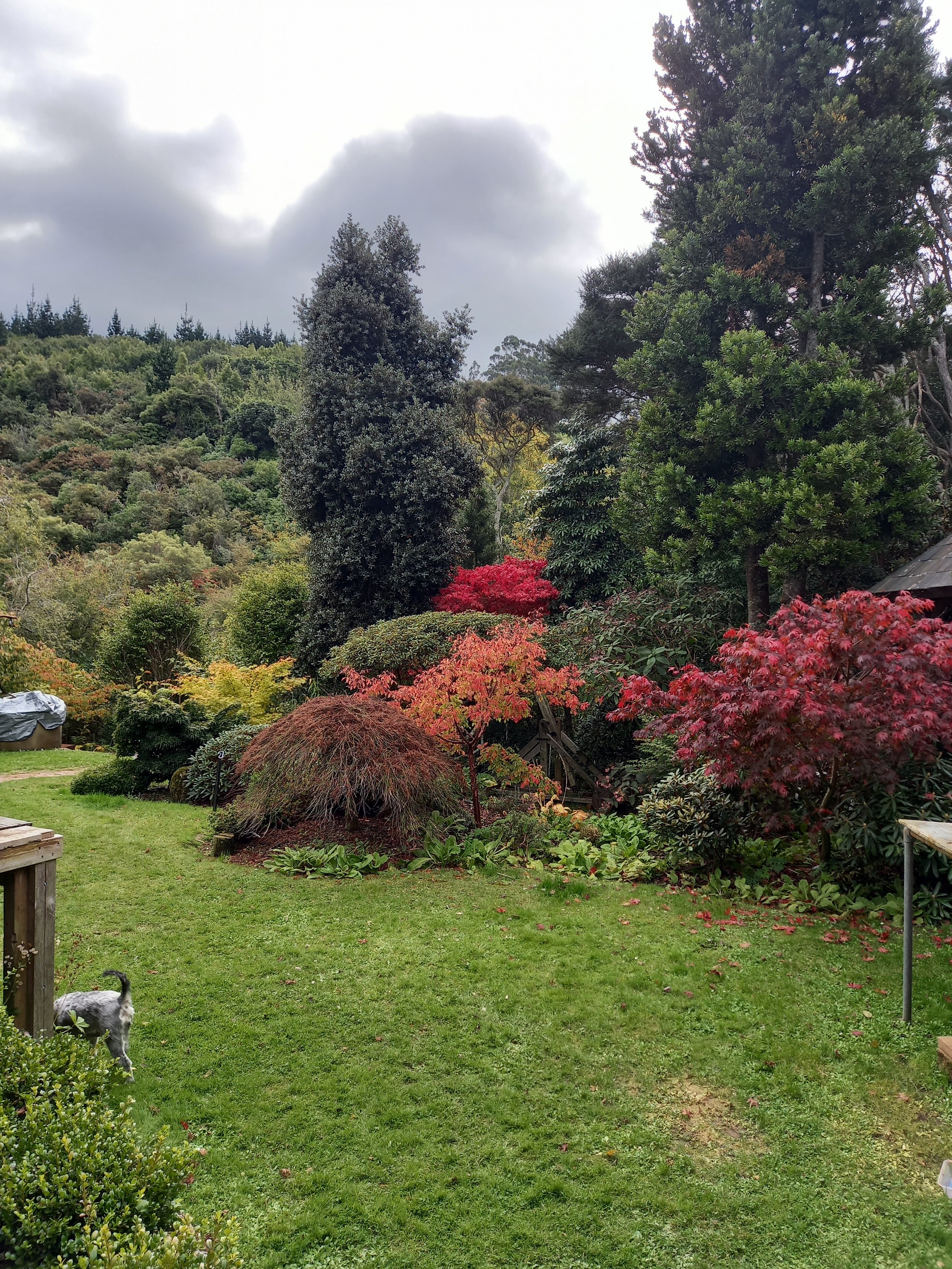 the backyard heavily influenced the backgrounds, not so much the colour of the embroidery.