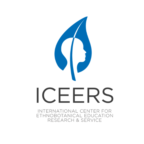 iceers logo (1).png
