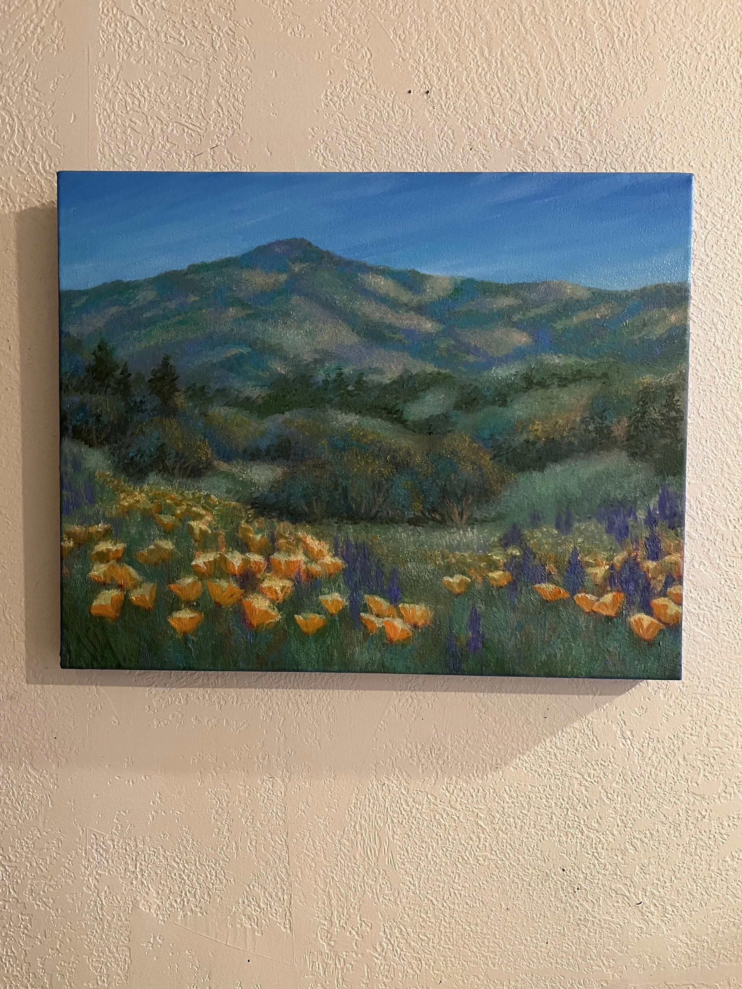 Poppies Gracing Mt. Diablo 2026
At the Valley Art Gallery, Walnut Creek
Oil on Canvas
$400