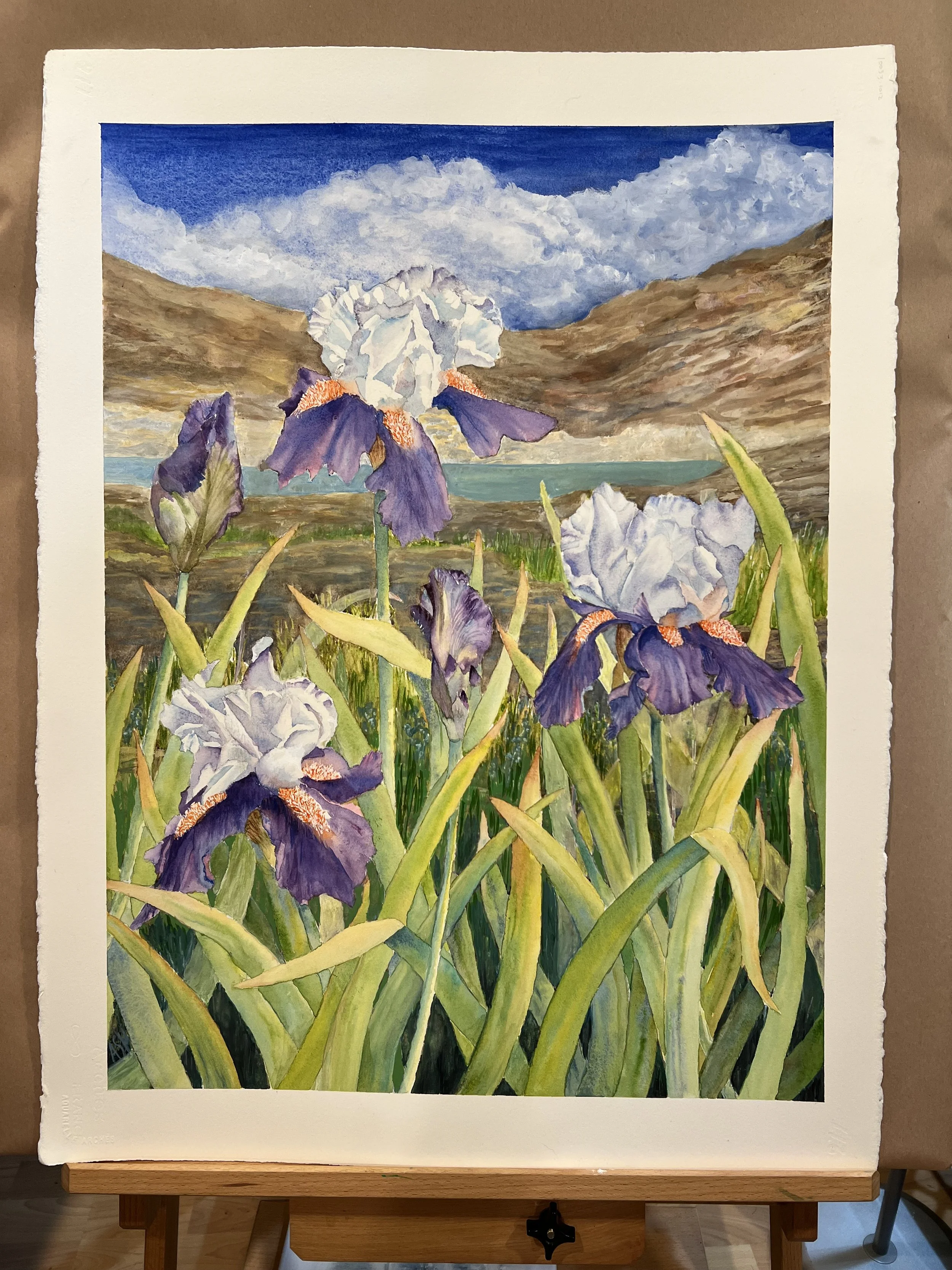 Iris and Mountains 2026
24" by 32" including 2" white border
Watercolor on 300 lb Arches
Original: $600
Giclee Prints: $200