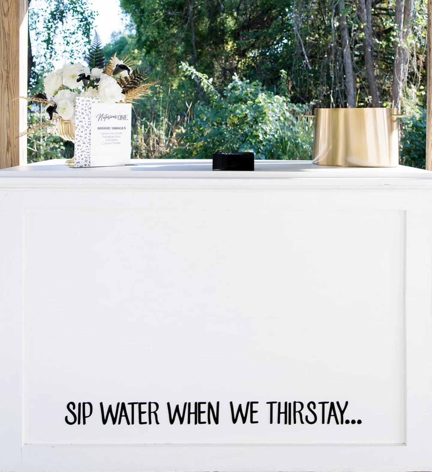 &ldquo;Birthdays was the worst days, now we sip champagne (water) when we thirstay&rdquo;. Oh no they didn&rsquo;t! Oh yes we did! 🥂💦 

For the grammar police (and anyone not familiar with The Notorious B.I.G.)&hellip;make sure your sound is ON. 😉