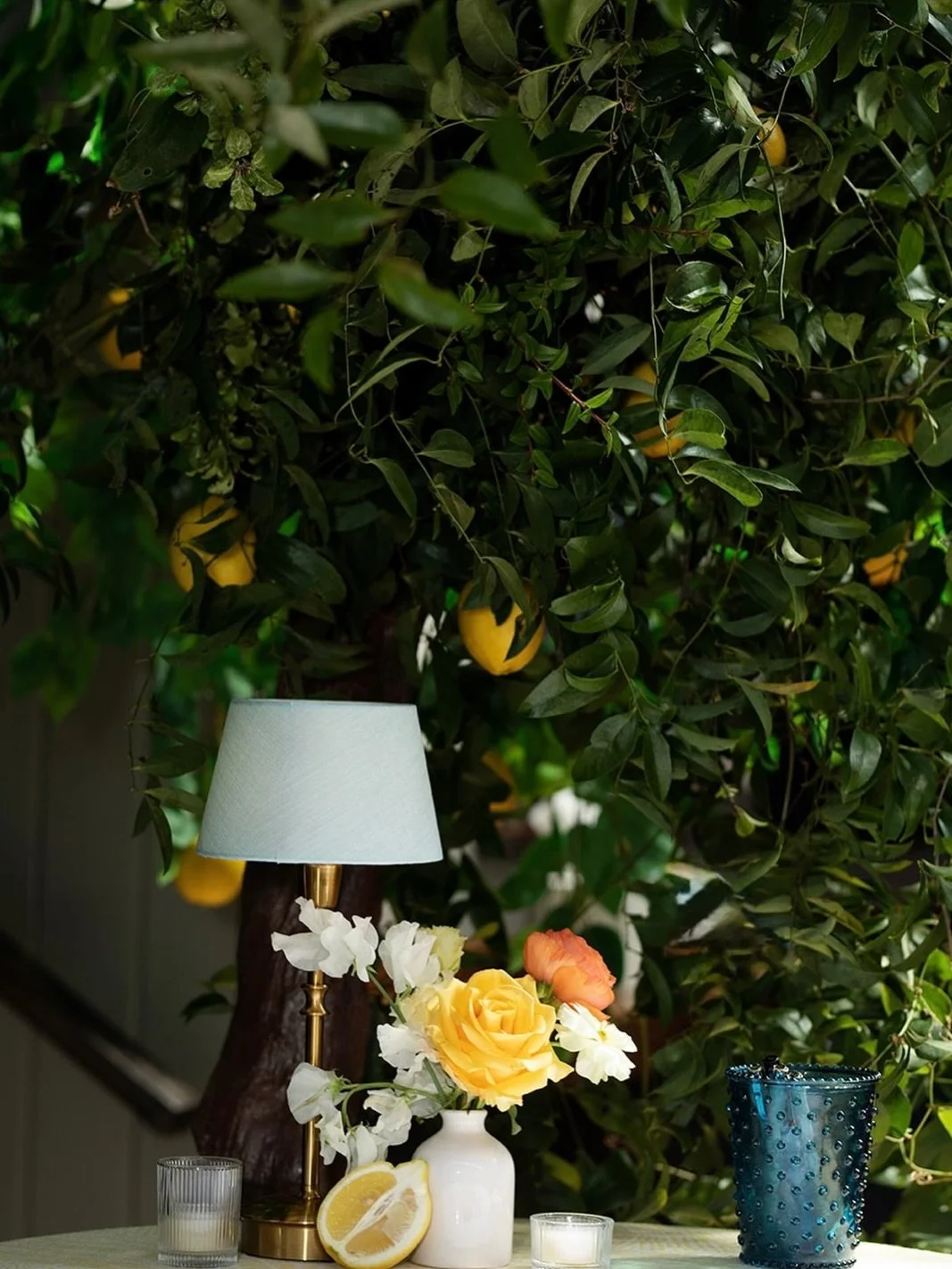 🍋🌳✨

From a breathtaking lemon tree installation to hand-placed citrus and layers of intentional detail, Stacey&rsquo;s 50th wasn&rsquo;t just a brunch, it was an escape. An experience.

Stacey&rsquo;s 50th ~ Livin&rsquo; Life Like it&rsquo;s Golde