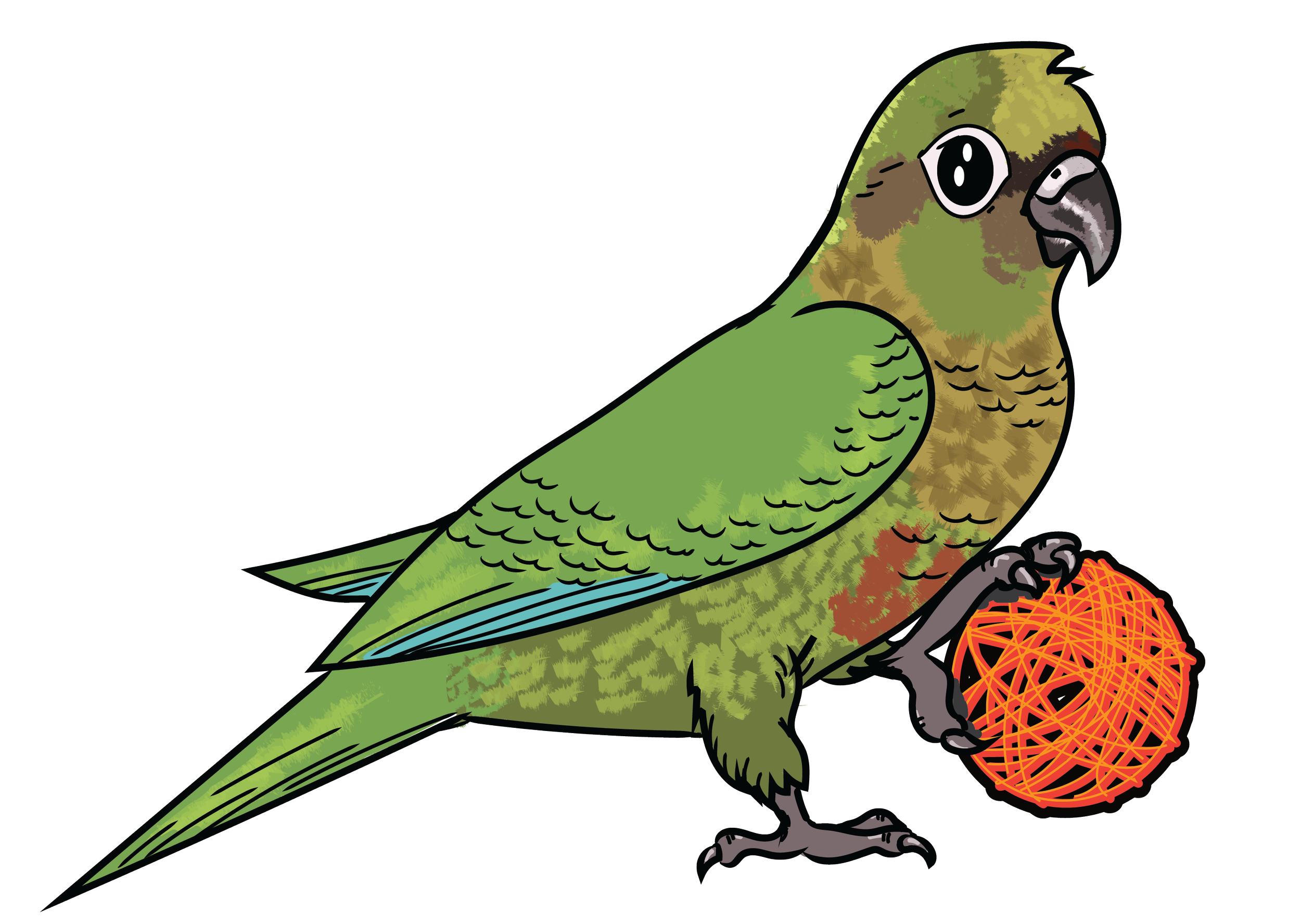 Conure Vector Graphic — Studio on the Farm