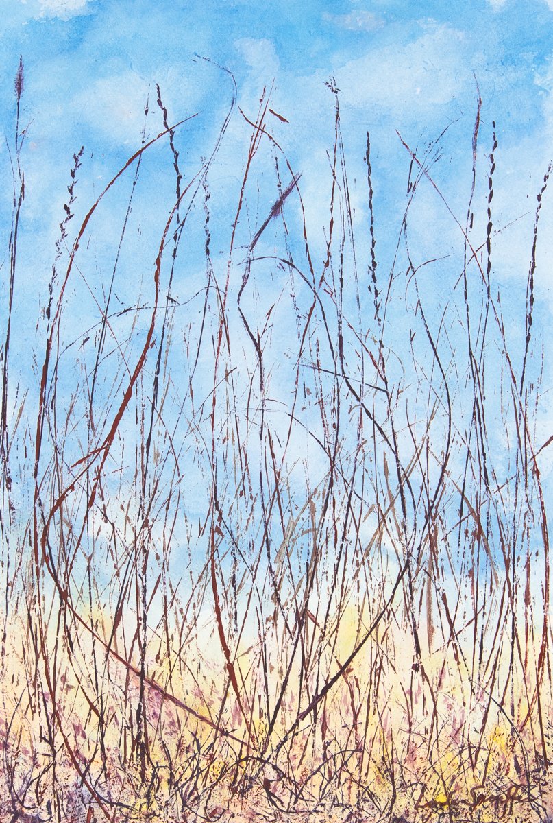 Listen to the Silence