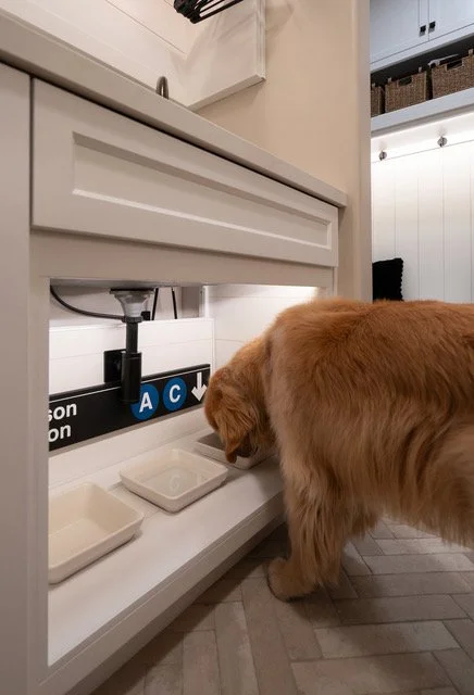 Spielvogel - 17.jpeg