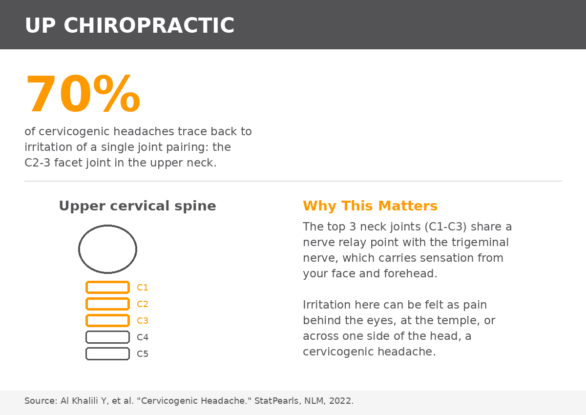 Infographic showing 70% of cervicogenic headaches trace to the C2-3 facet joint in the upper neck, Up Chiropractic Leederville
