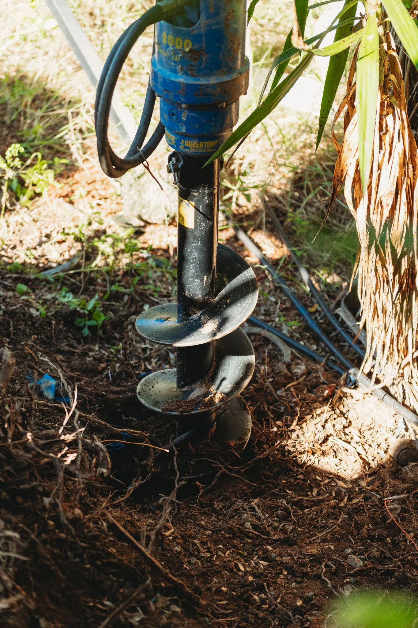 DSC_2541.jpg