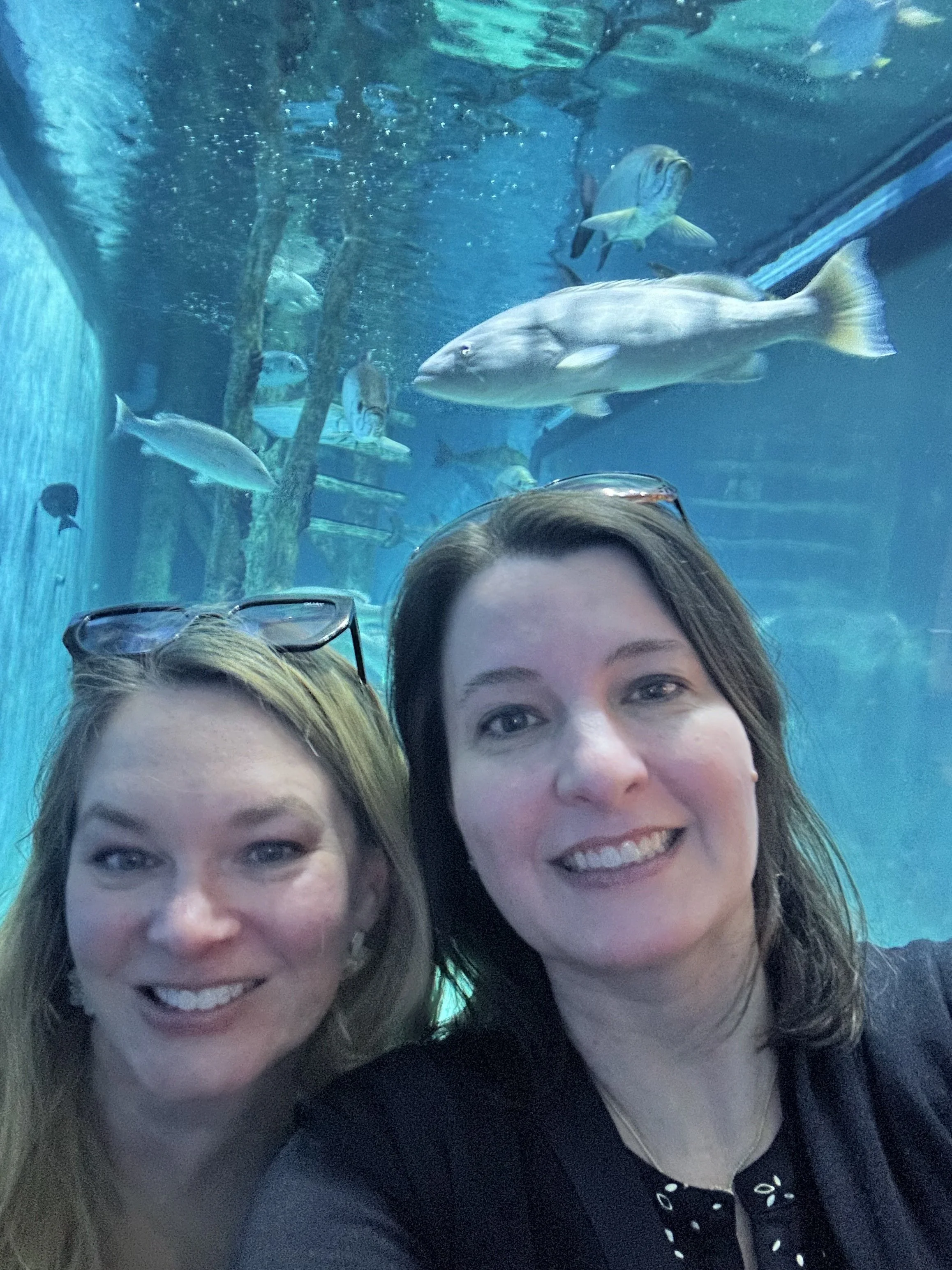 Mary and Katie eat dinner with the fish in Florida
