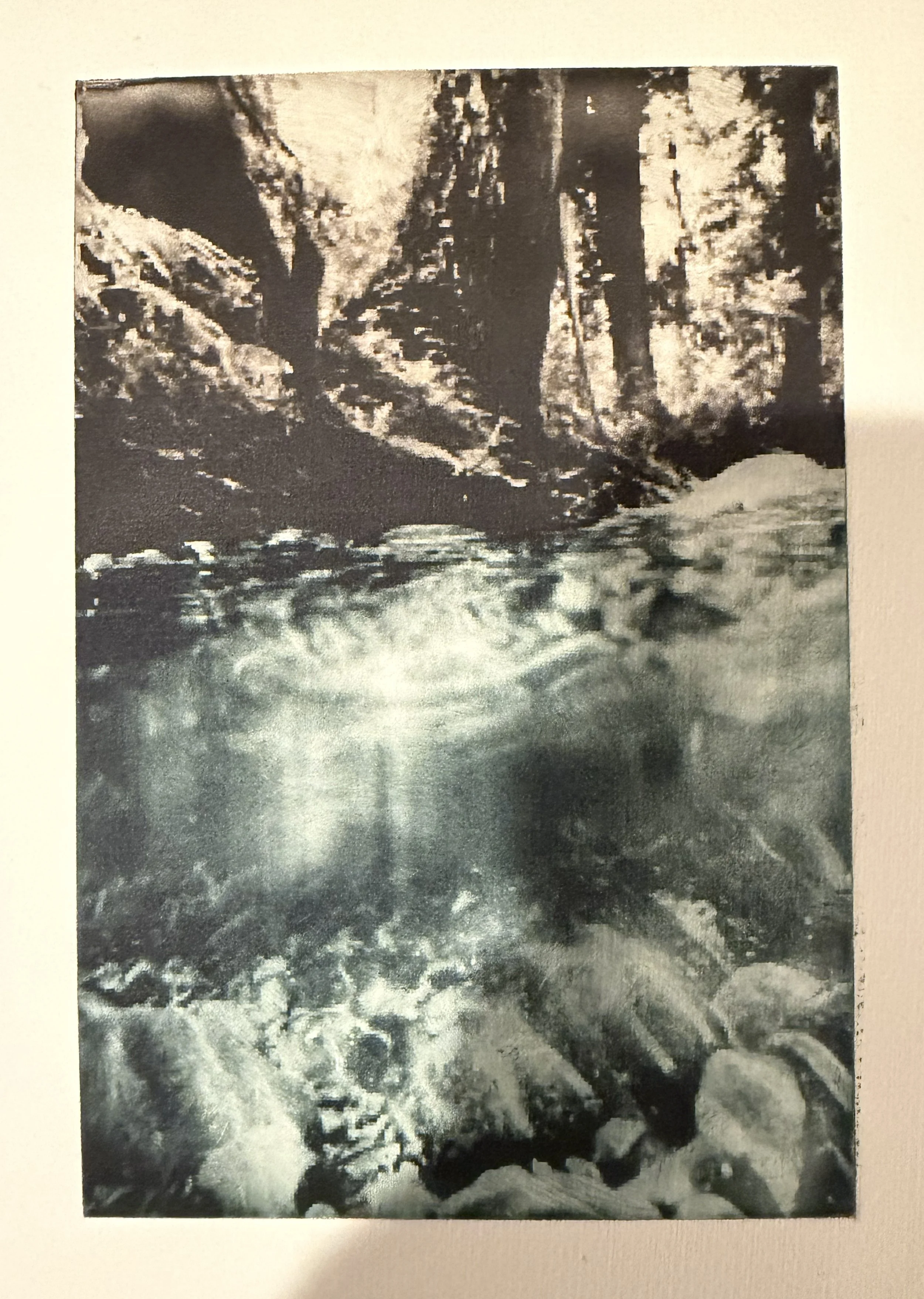 Bee Creek