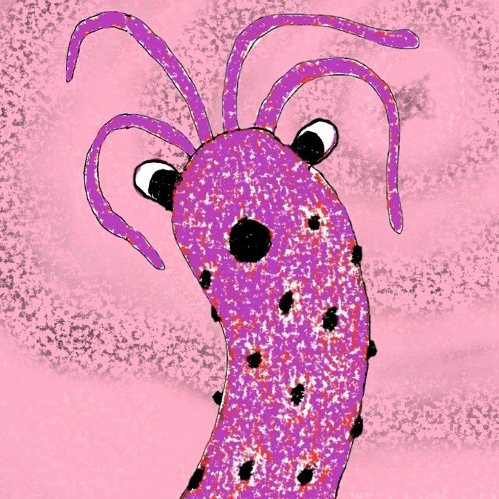 Bug + Duodenum BG