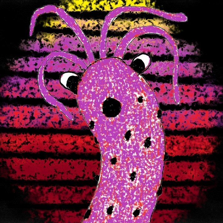 Bug + Stomachset BG