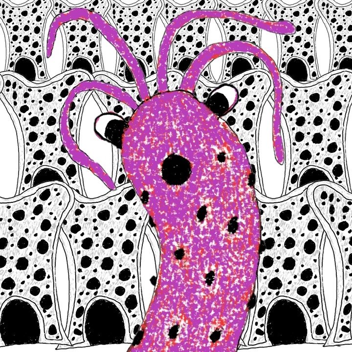 Bug + Bone Marrow BG