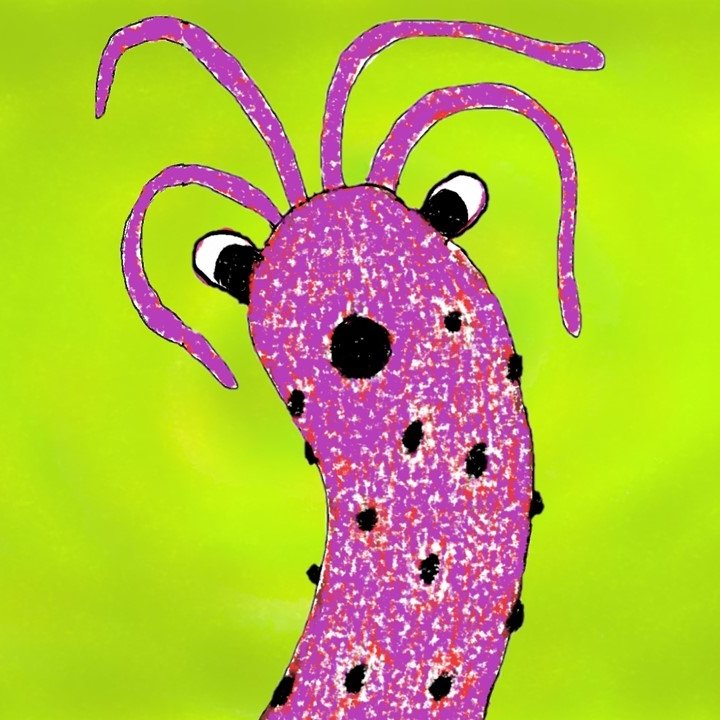 Bug + Gastric Acid BG