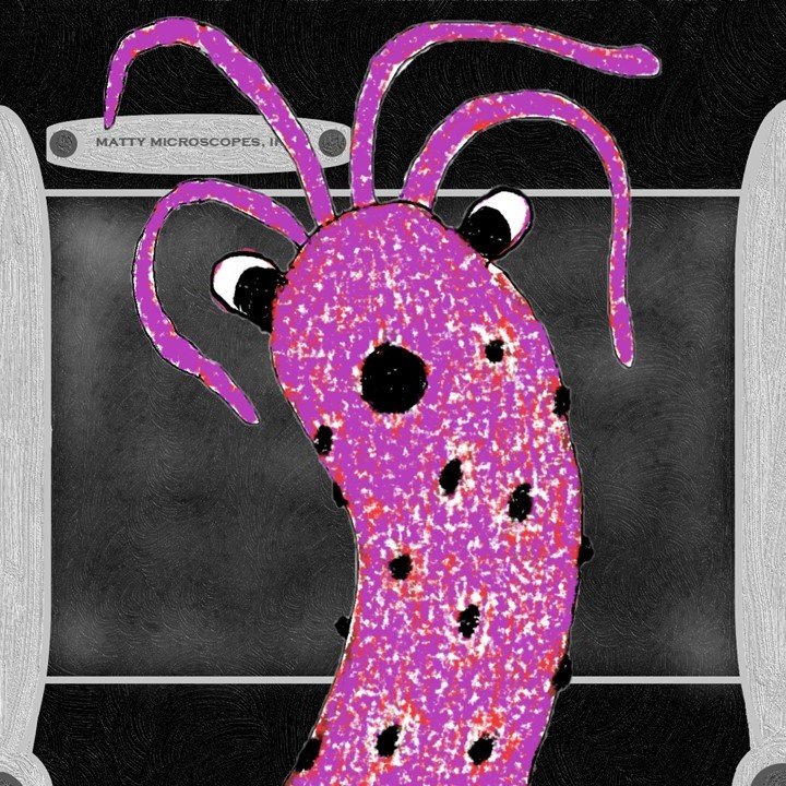 Bug + Microscope BG
