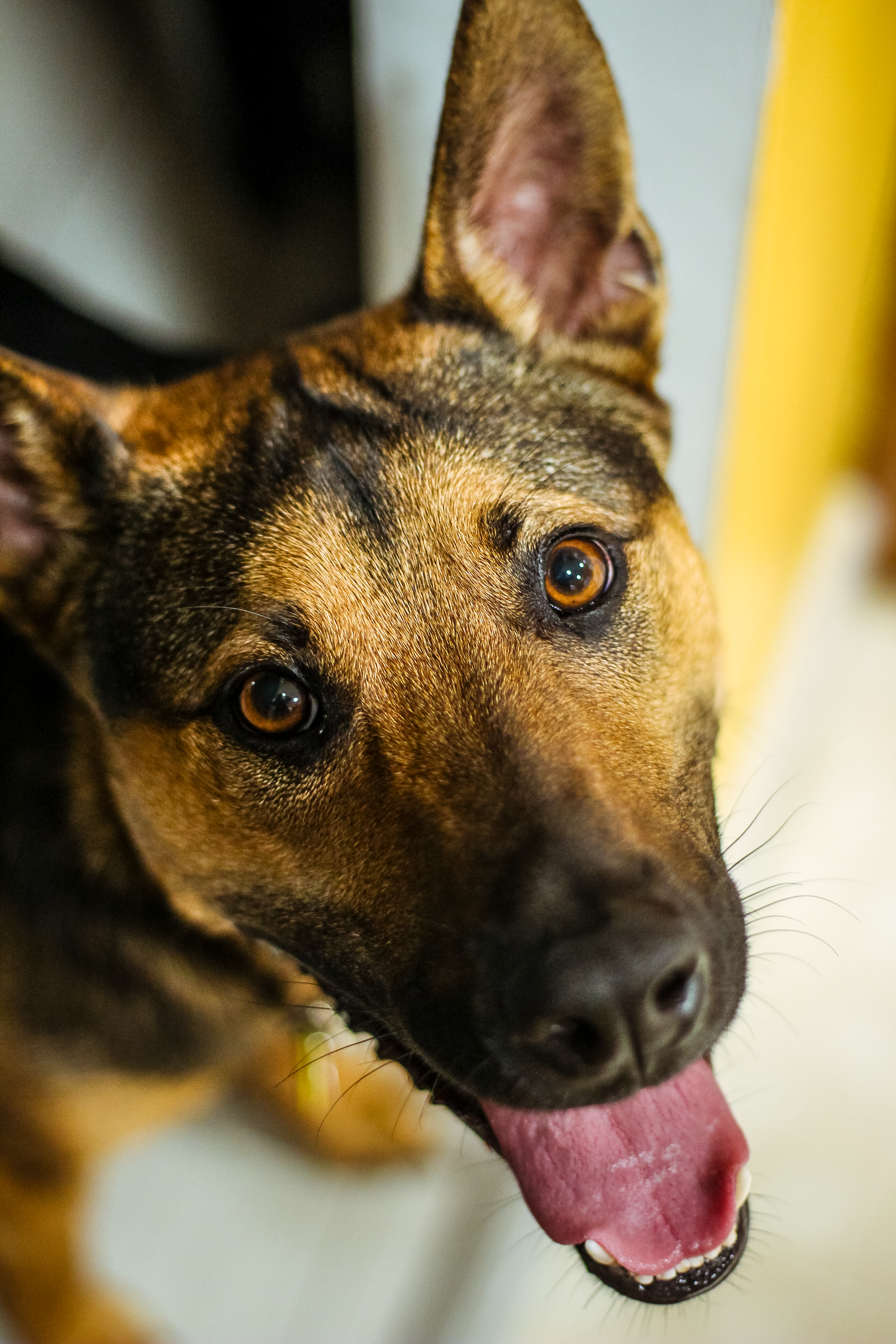 IMG_T5_9857 copy.png