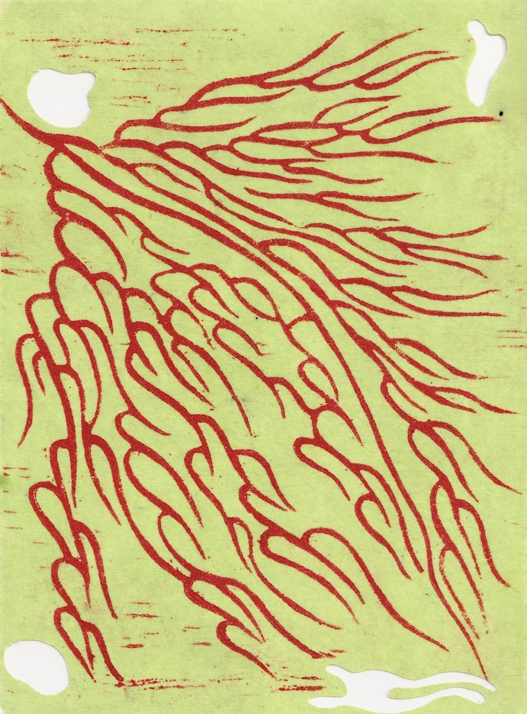 Scan 6.jpg