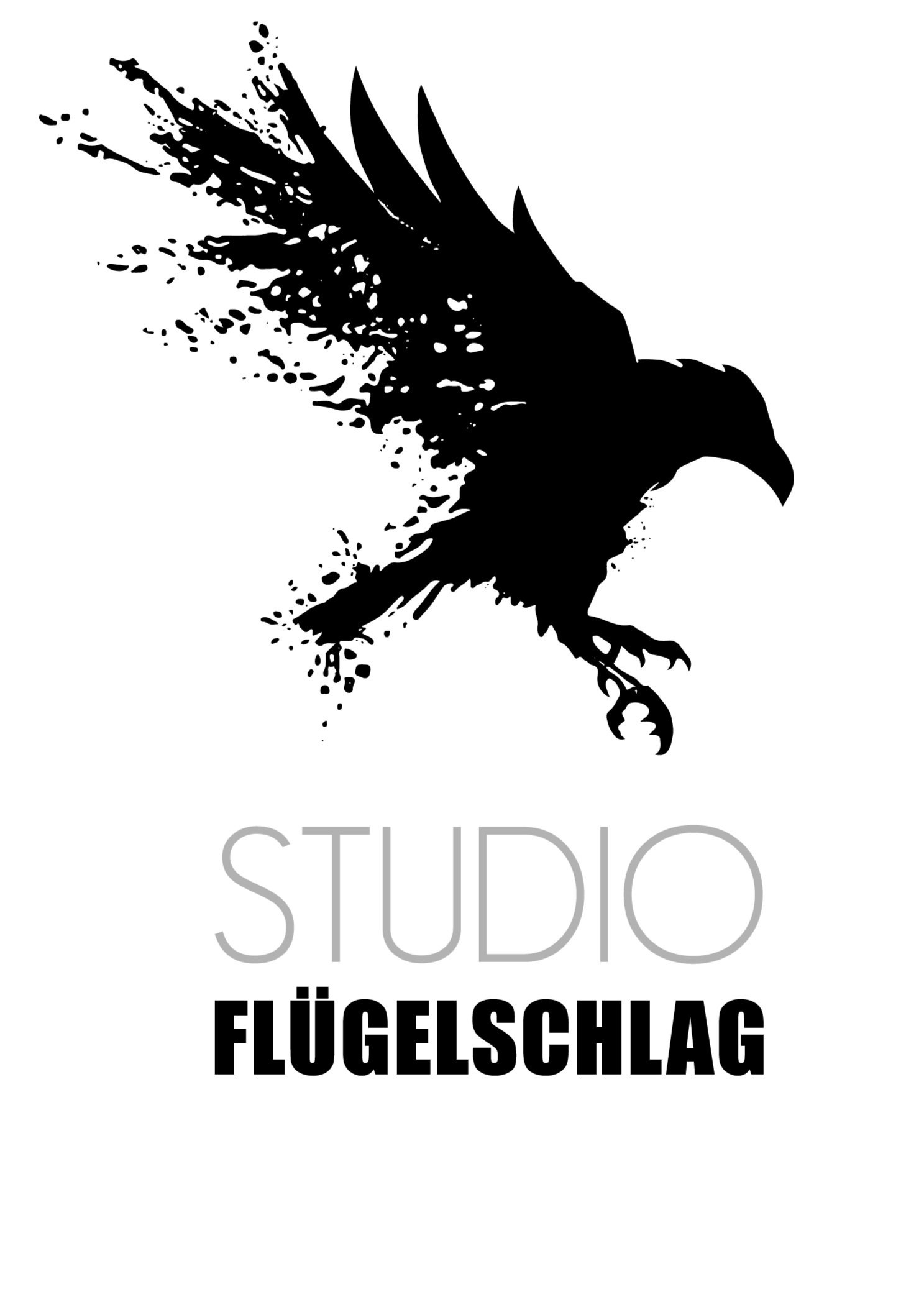 FlügelschlagStudio