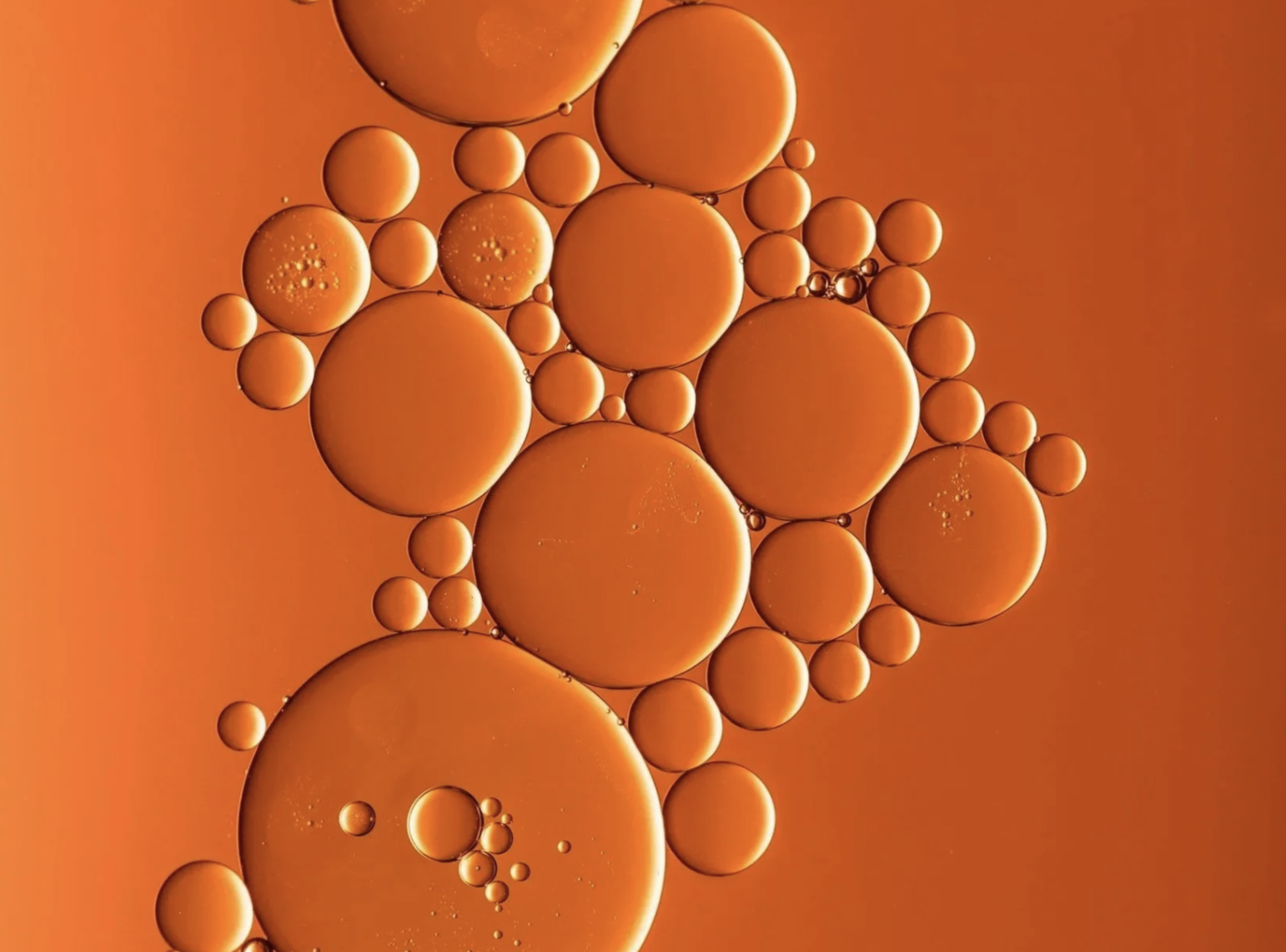 Funkless Orange Wines
