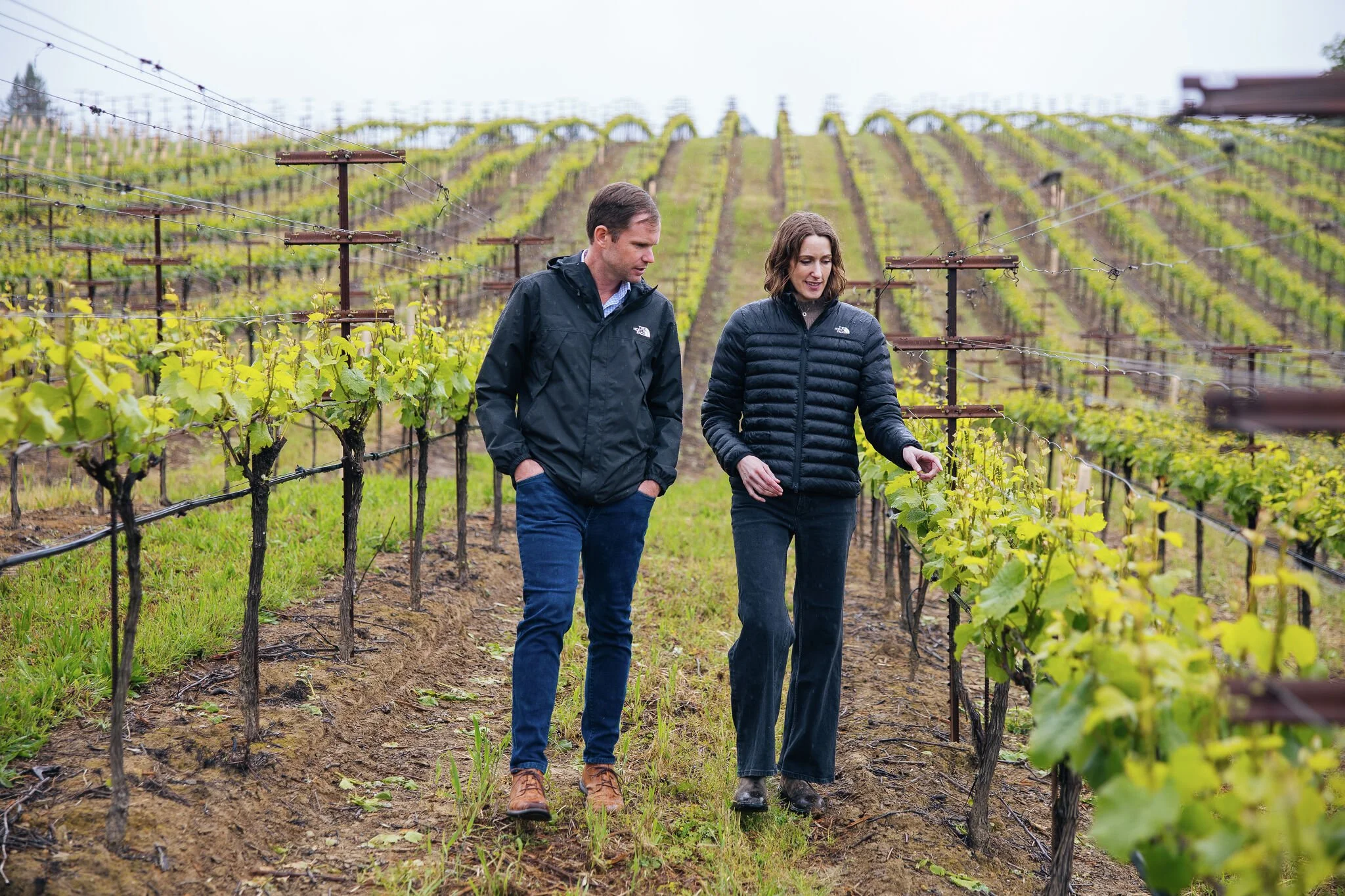 New California Winery Release: Sphaerics w/ Brian Ball ($60)