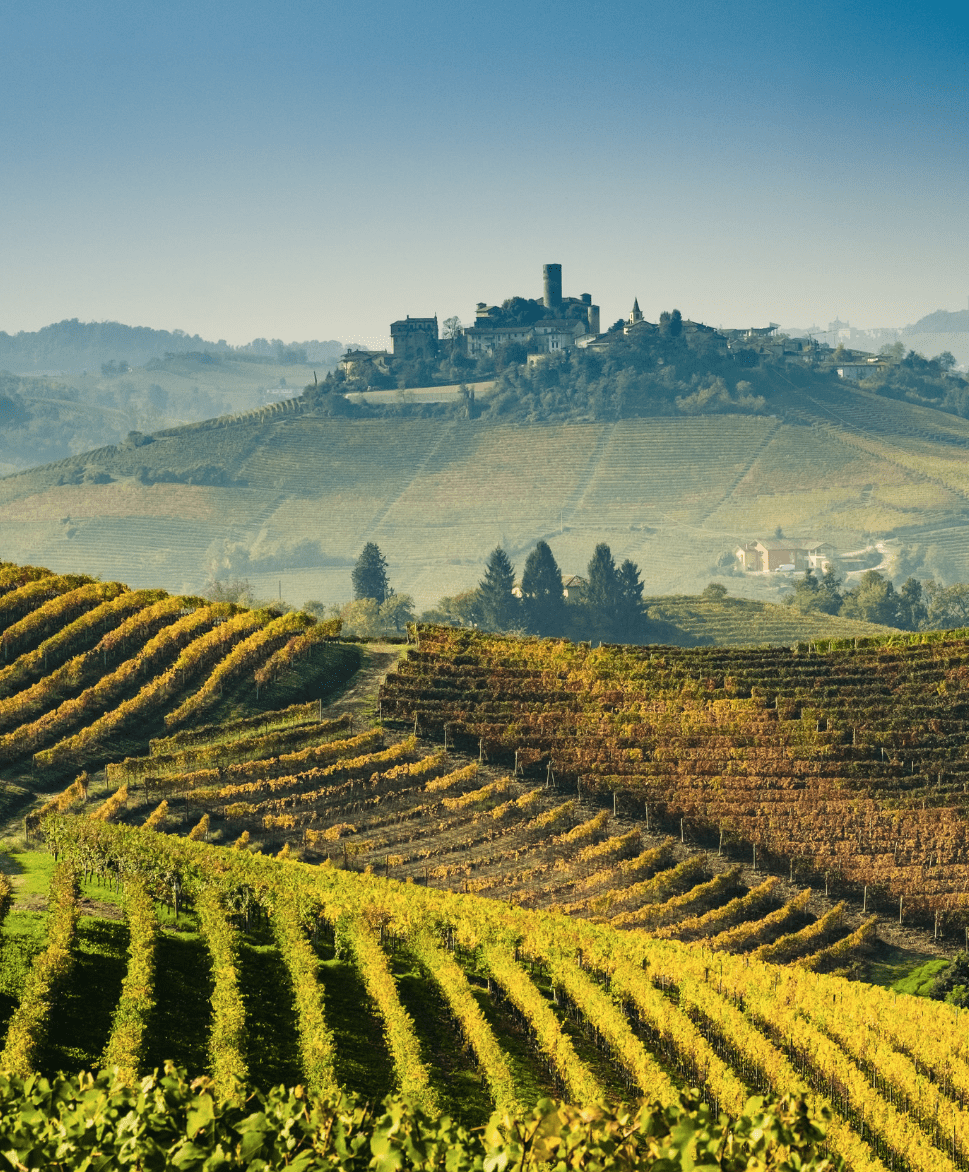 Deep dive: Piedmont