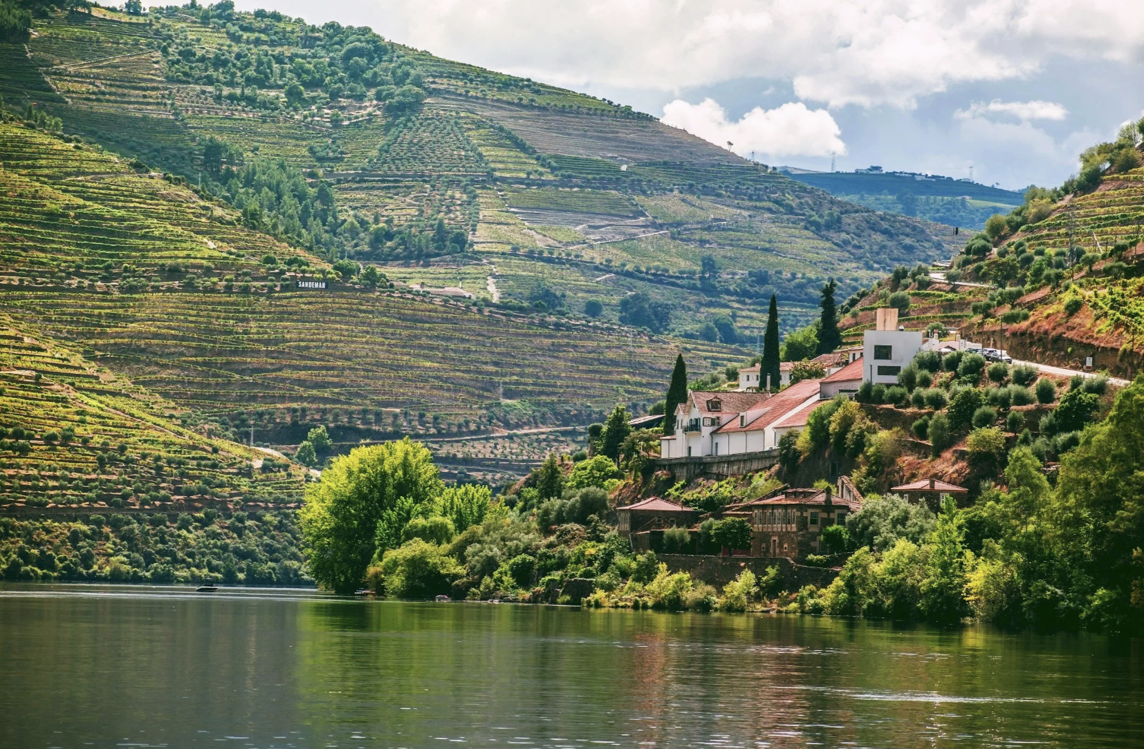 Portuguese Wine &amp; Olive Oil Tasting