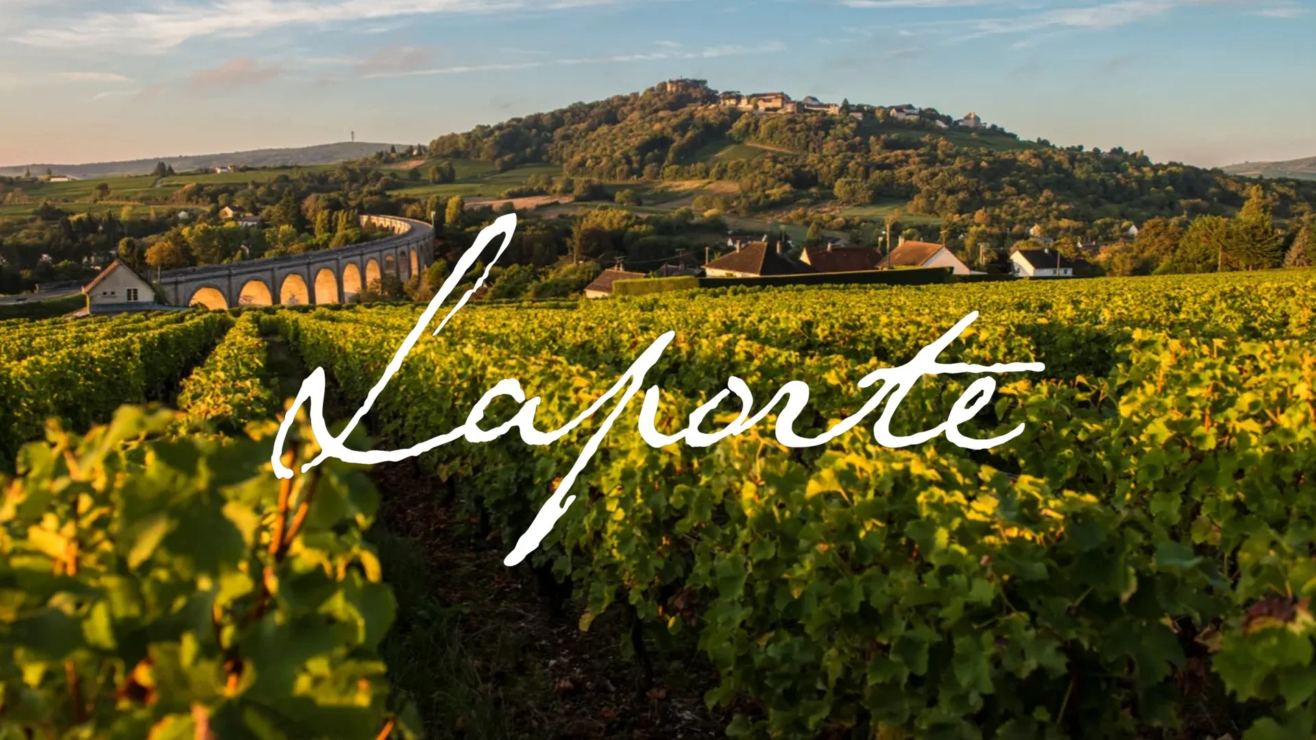 Pop-Up Tasting: Domaine Laporte Sancerre