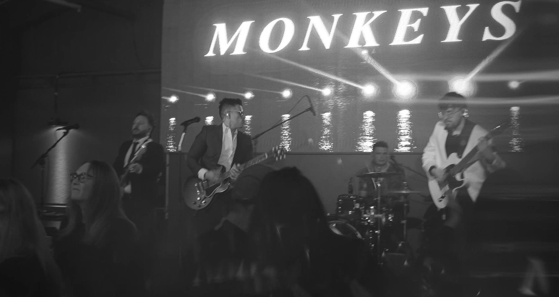 Monkeys Image 3.jpg