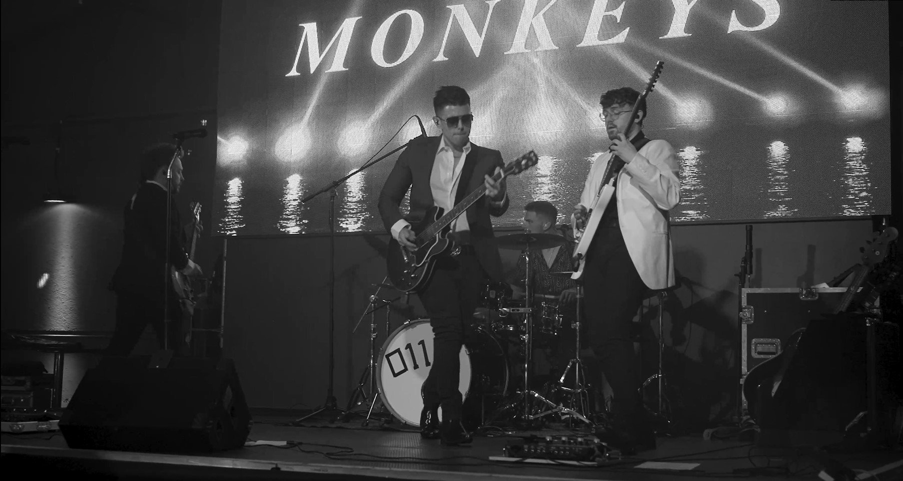 Monkeys Image.jpg