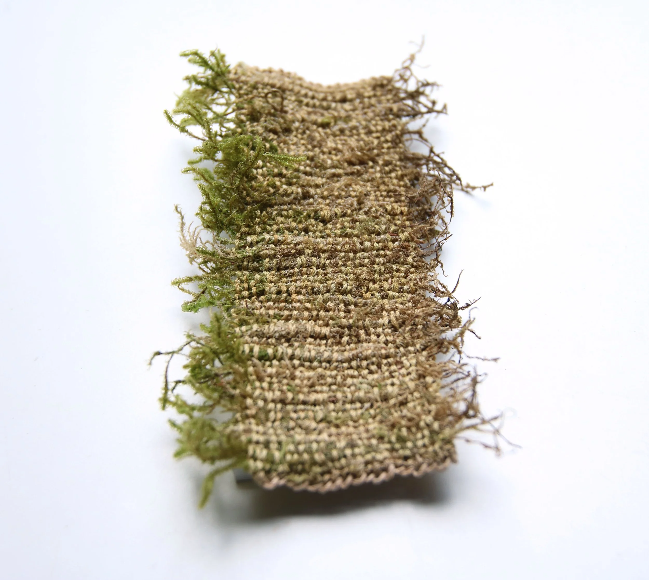Alice Fox Moss Cloth Fragment.jpg