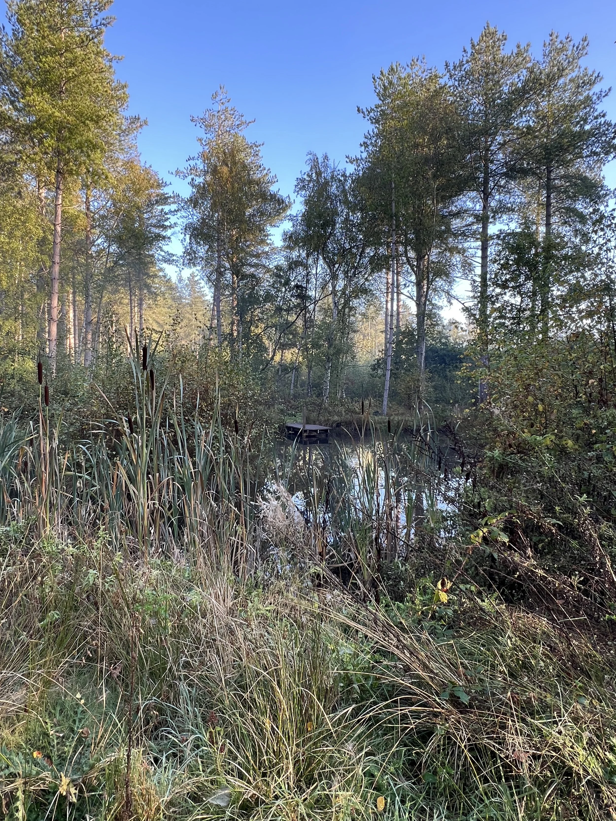 Photo 12-10-2025, 09 28 35.jpg