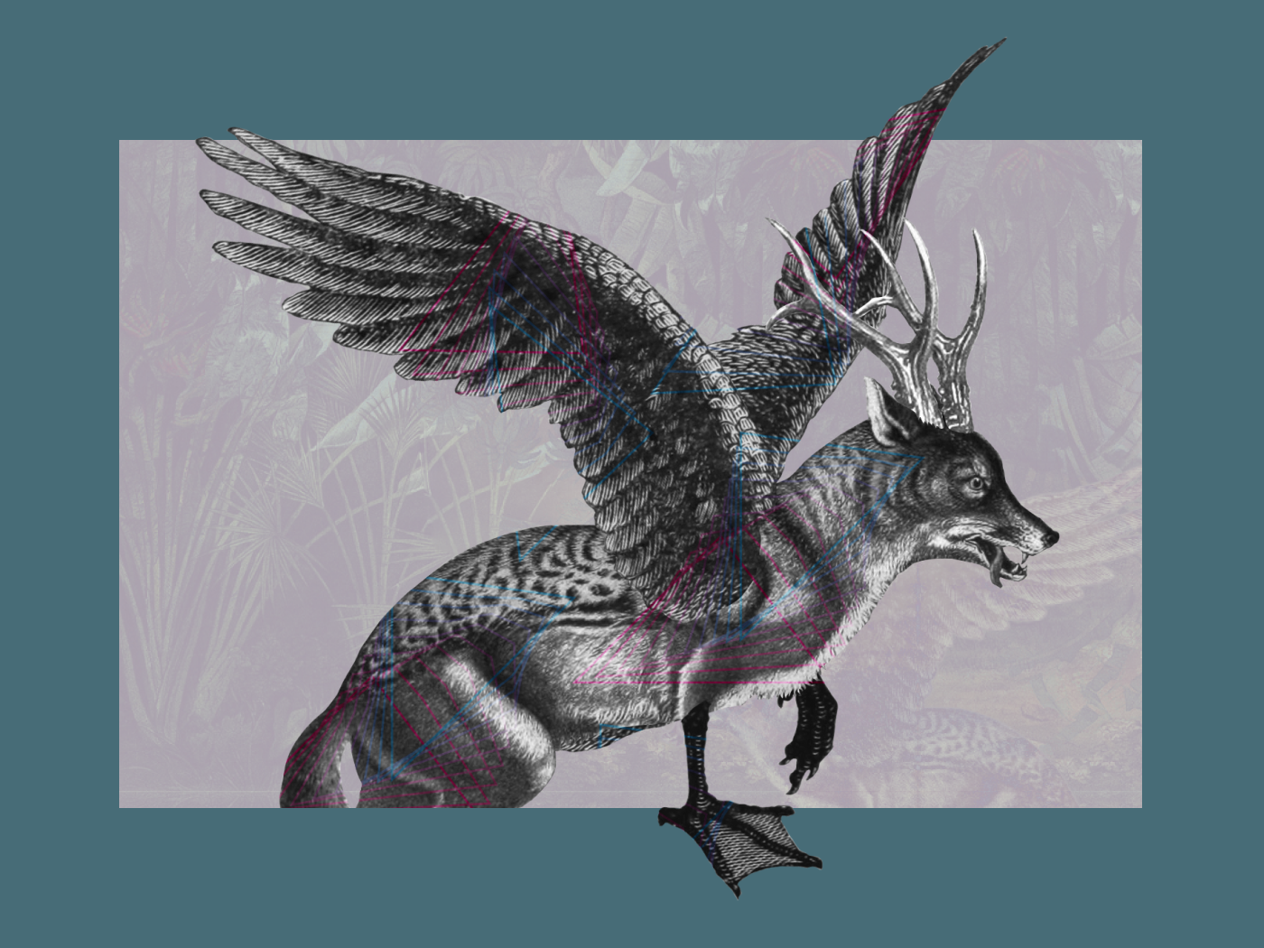 Wolperdinger Website Illustrations