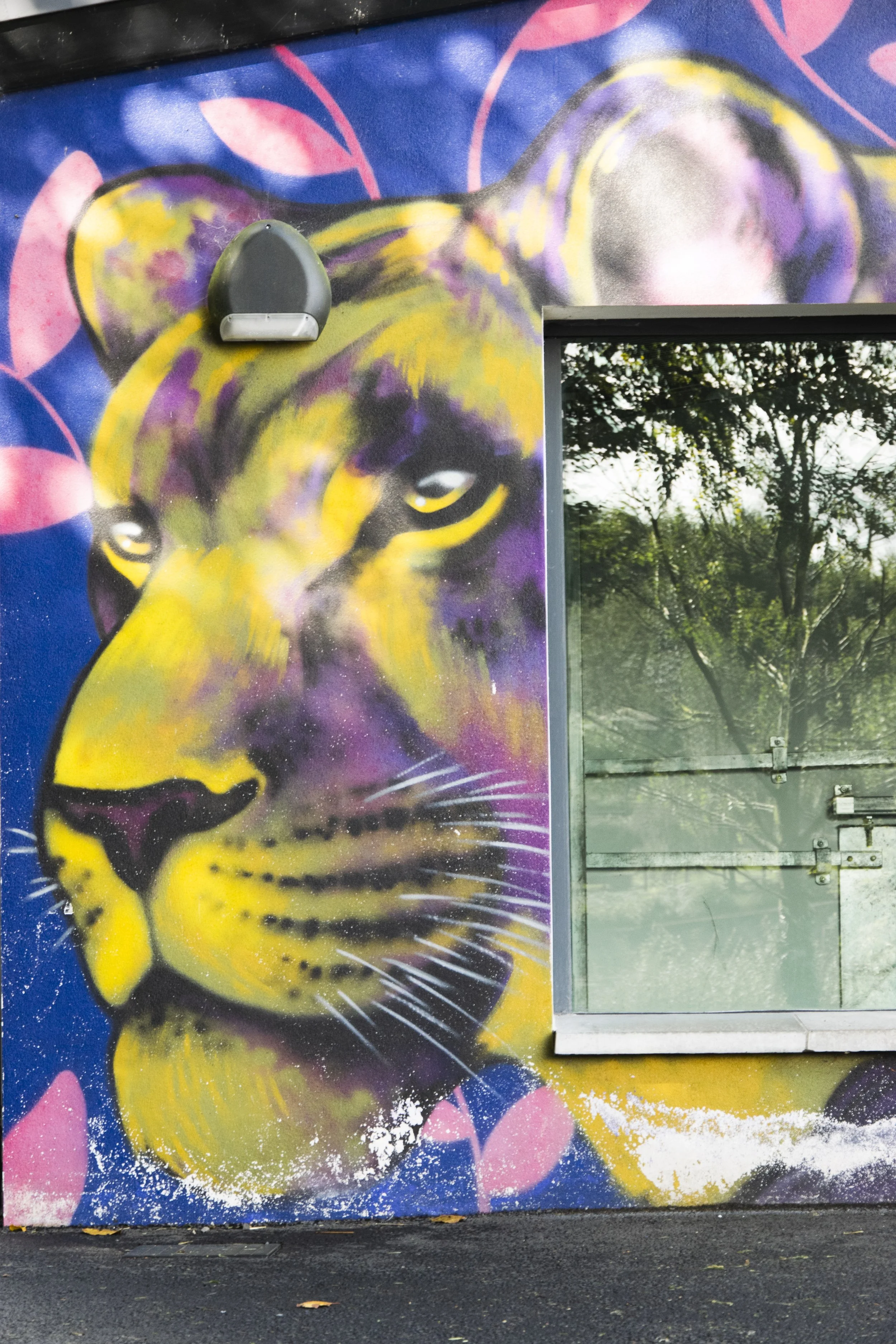 DAISY CHAIN - Lion Enclosure closeup1.jpg