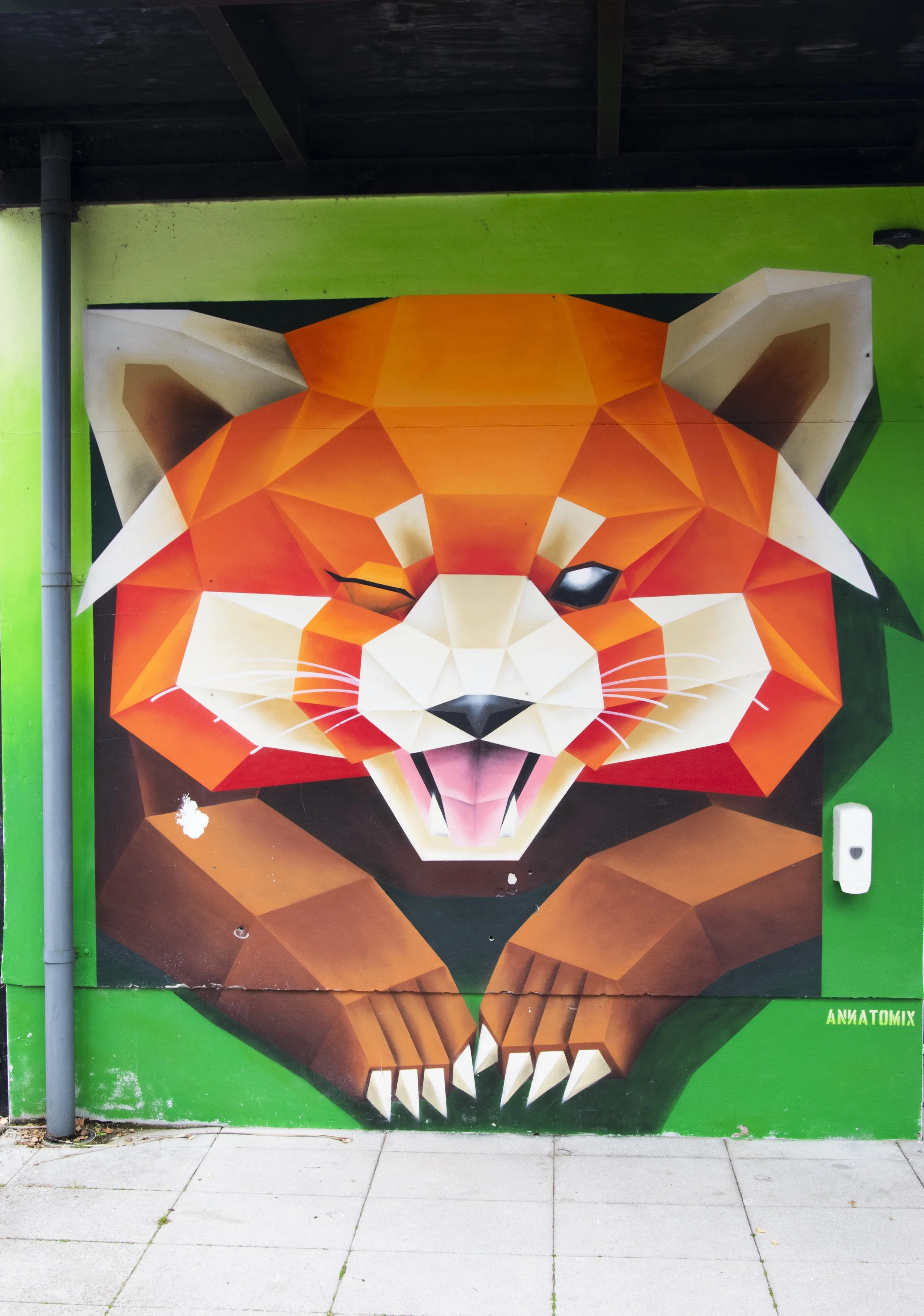 Red Panda3.jpg