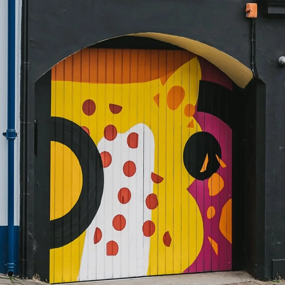 Causeway Coast Street Art