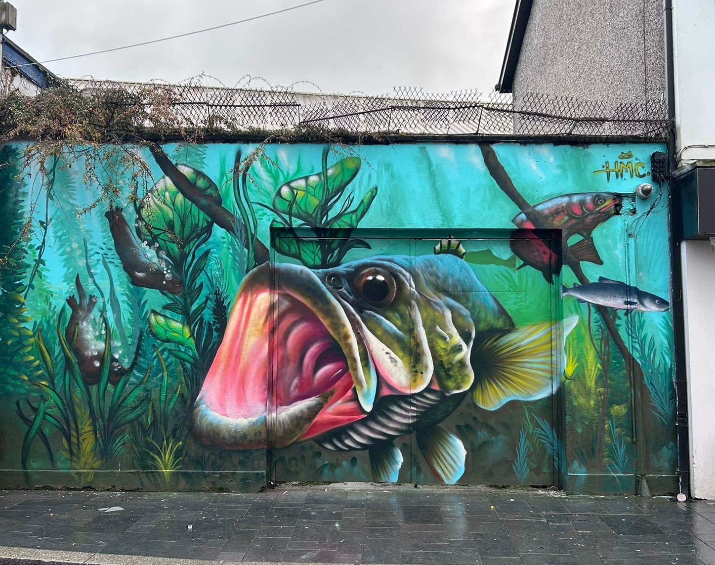 HMC Strabane crop.jpg