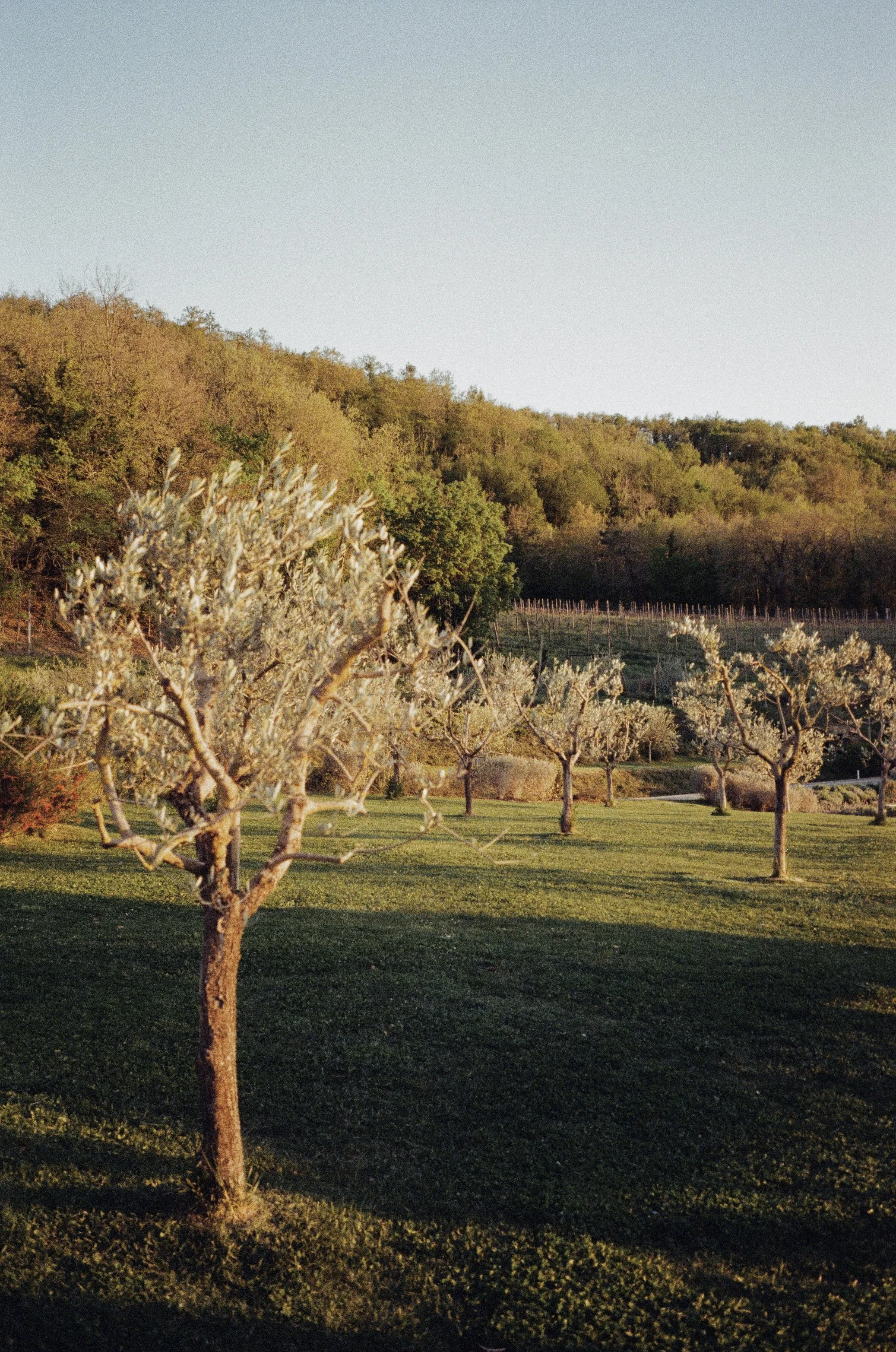 0461-10.jpg