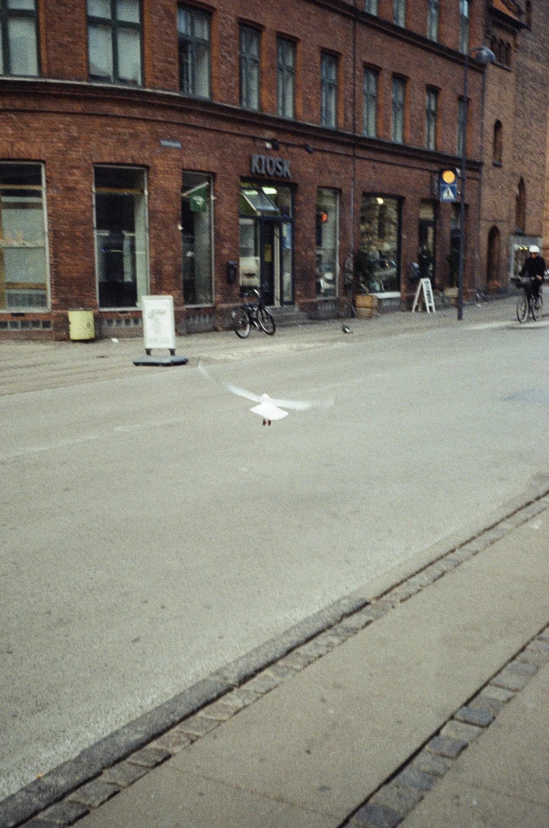 0447-10.jpg
