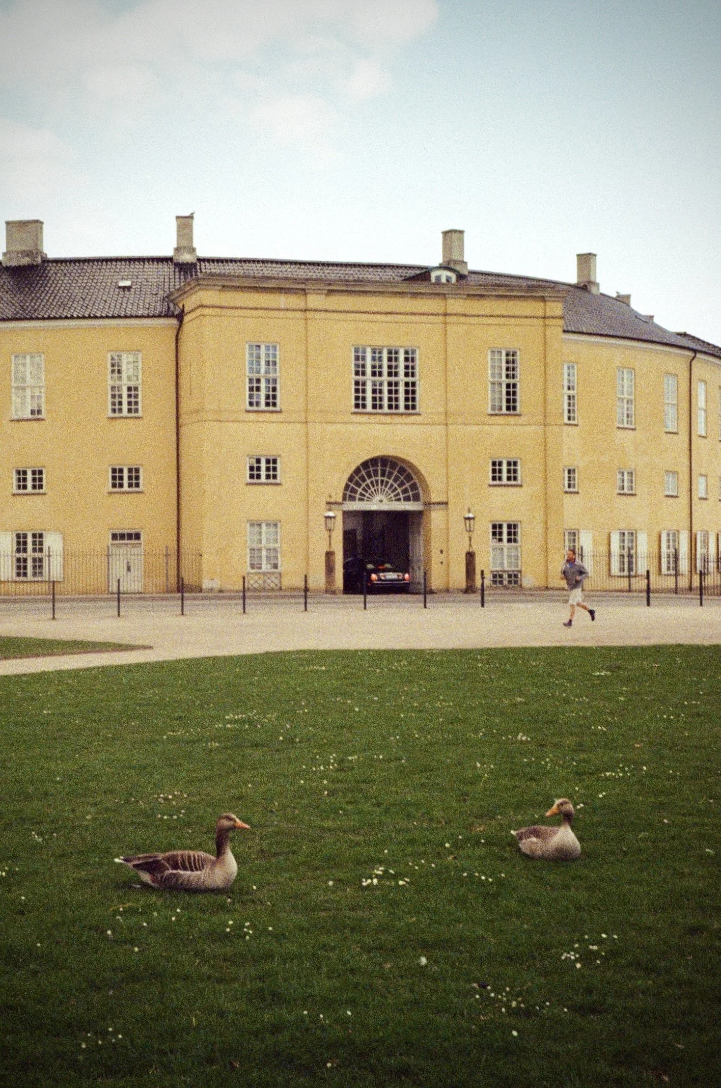 0447-06.jpg