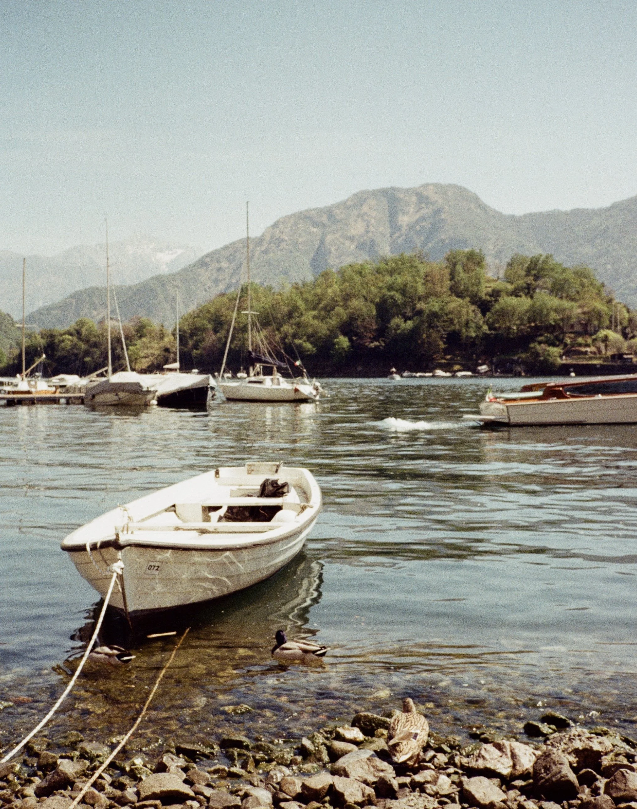 0459-05.jpg